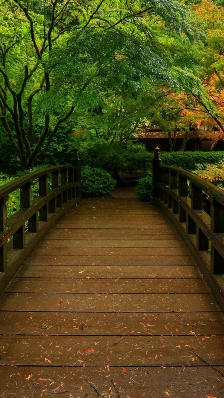 Braune Holzbrücke im Wald. Wallpaper in 750x1334 Resolution