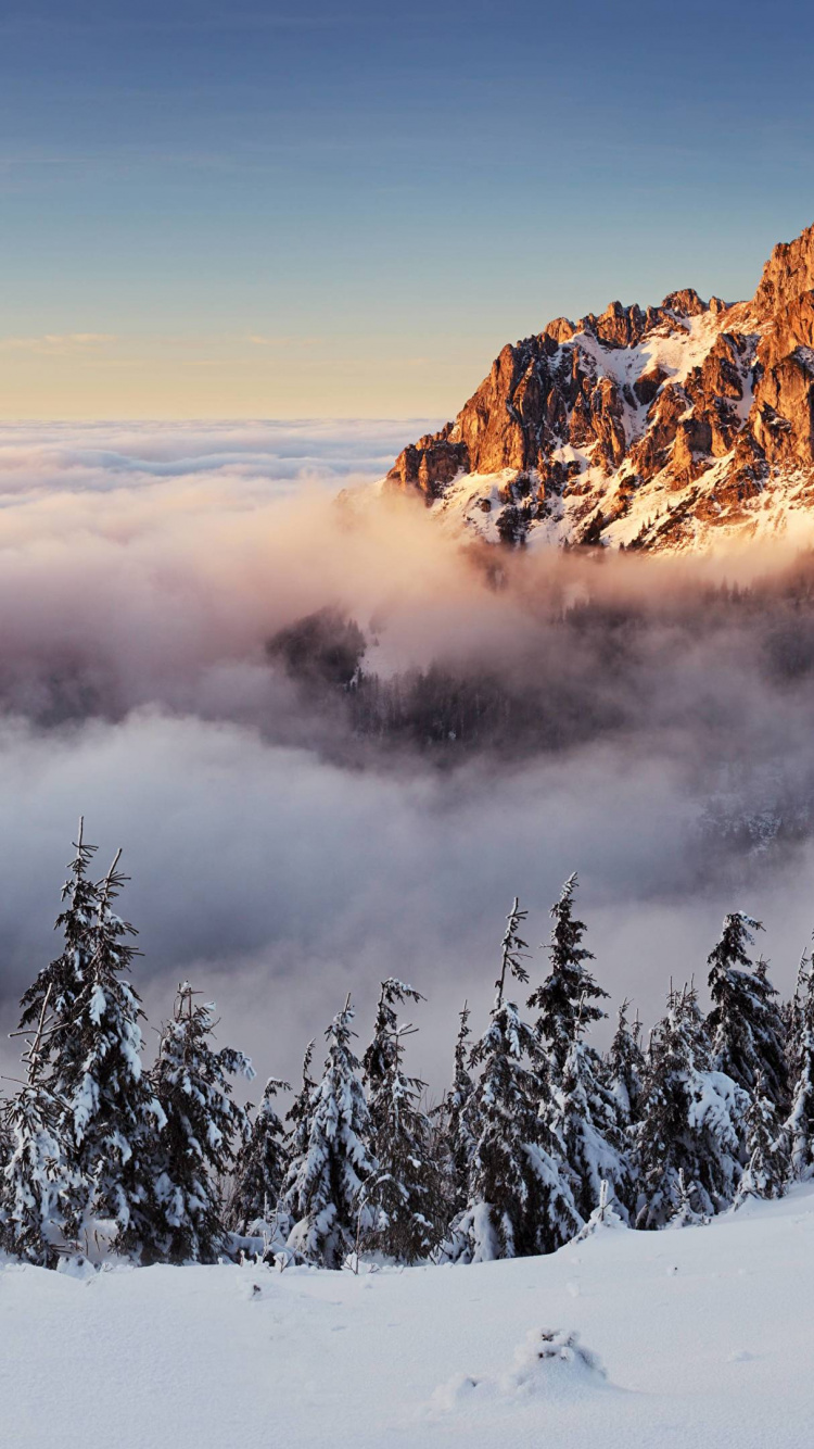 Snow Covered Trees and Mountains During Daytime. Wallpaper in 750x1334 Resolution
