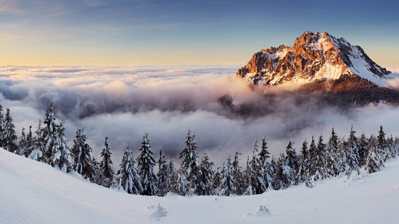 Schneebedeckte Bäume Und Berge Tagsüber. Wallpaper in 1280x720 Resolution