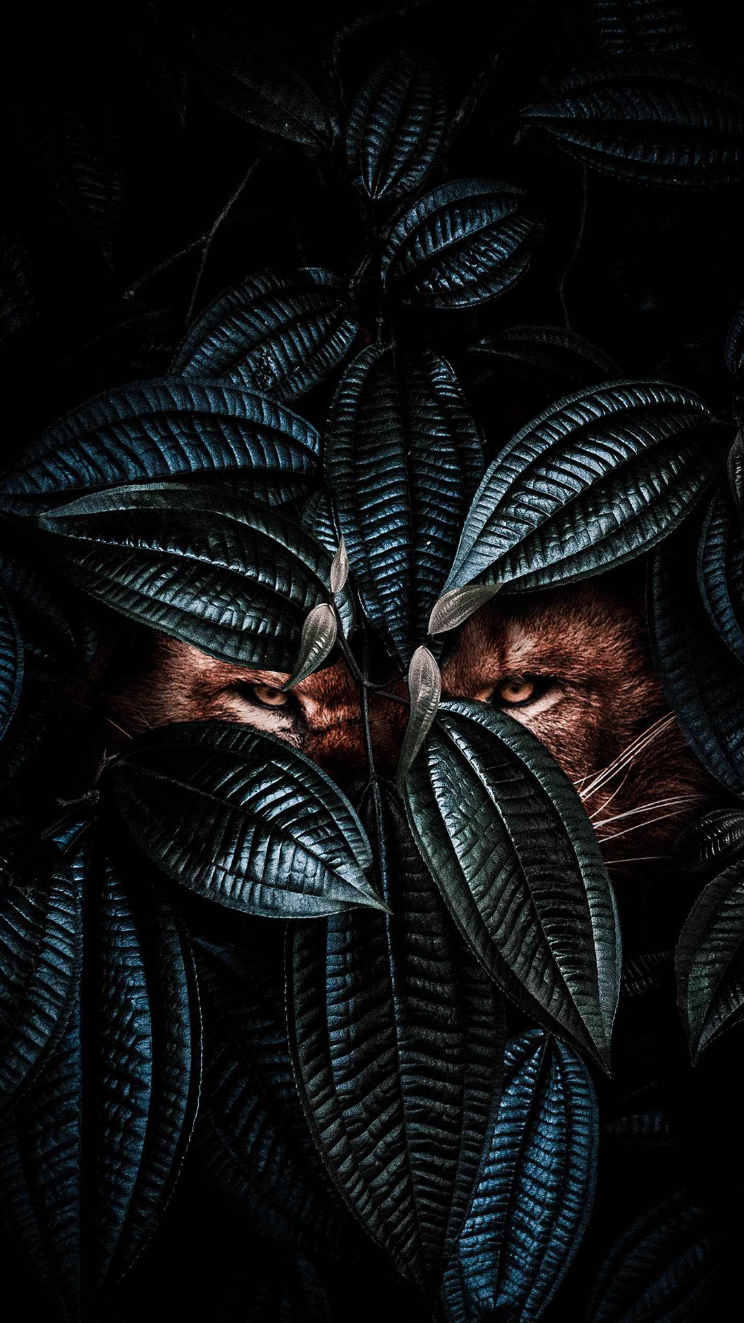 Yeux de Lion, Plante Terrestre, Obscurité, Symétrie, Verre. Wallpaper in 1080x1920 Resolution