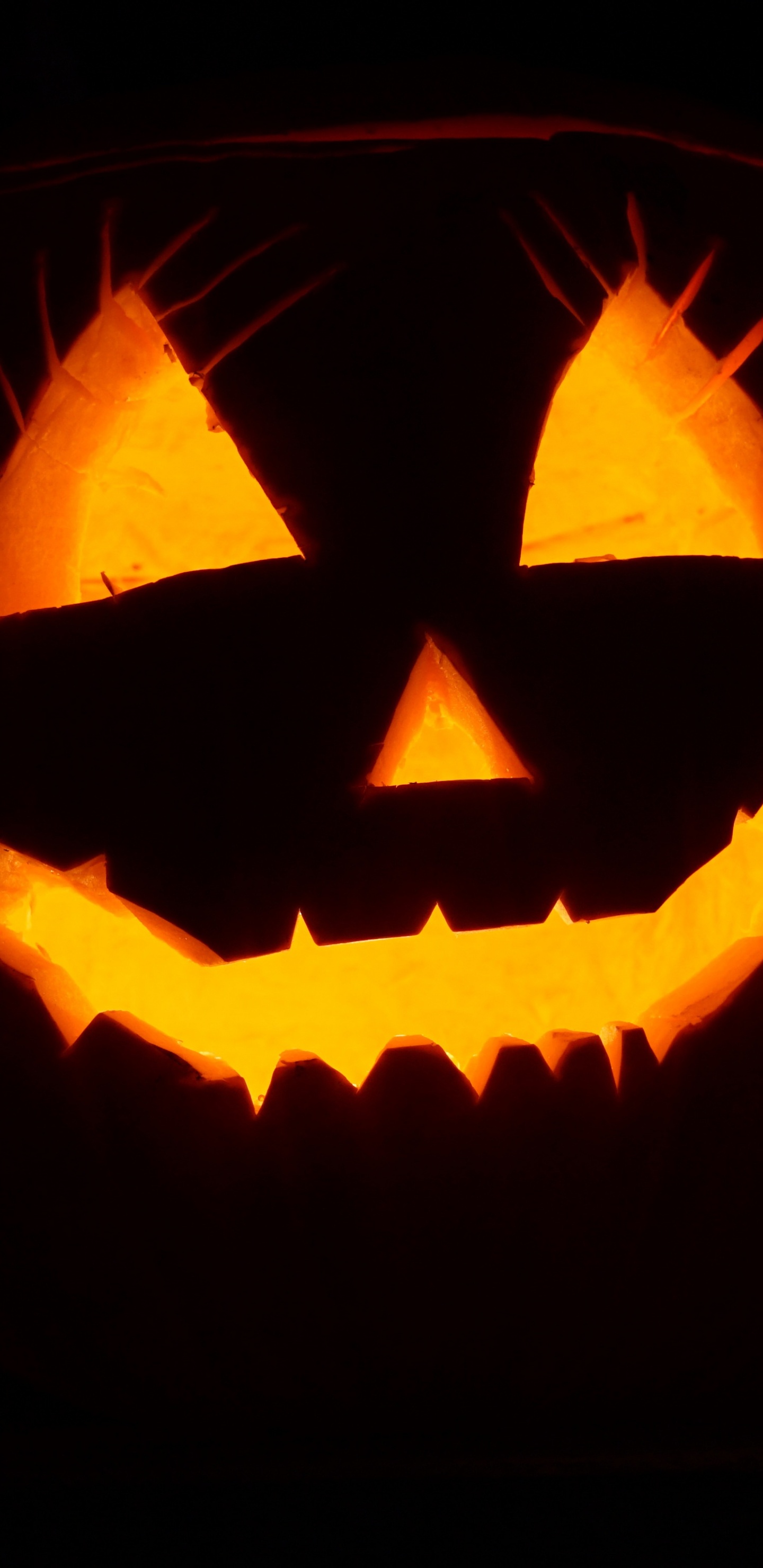 Calabaza, Orange, Carving, Mouth, Art. Wallpaper in 1440x2960 Resolution