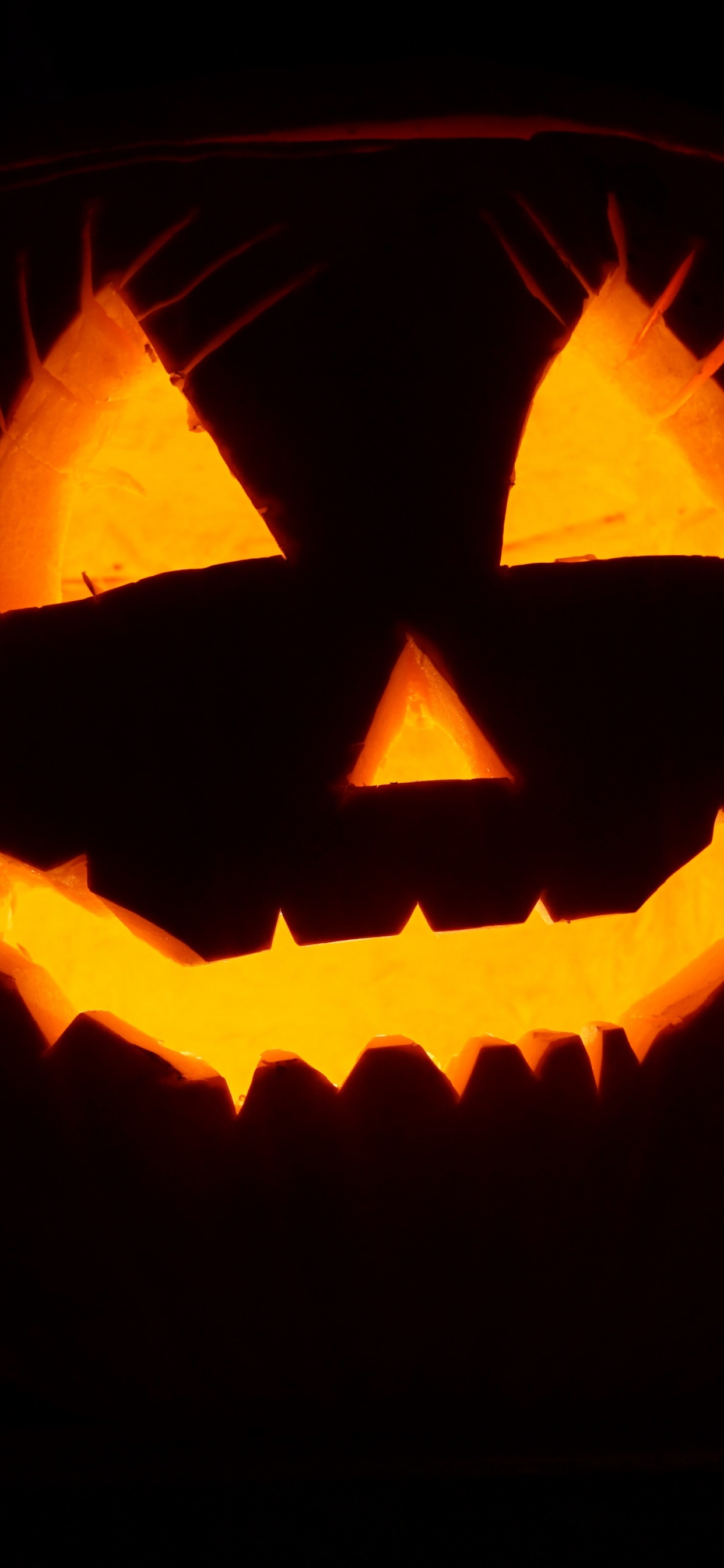 Calabaza, Orange, Schnitzerei, Kunst, Kostüm. Wallpaper in 1242x2688 Resolution