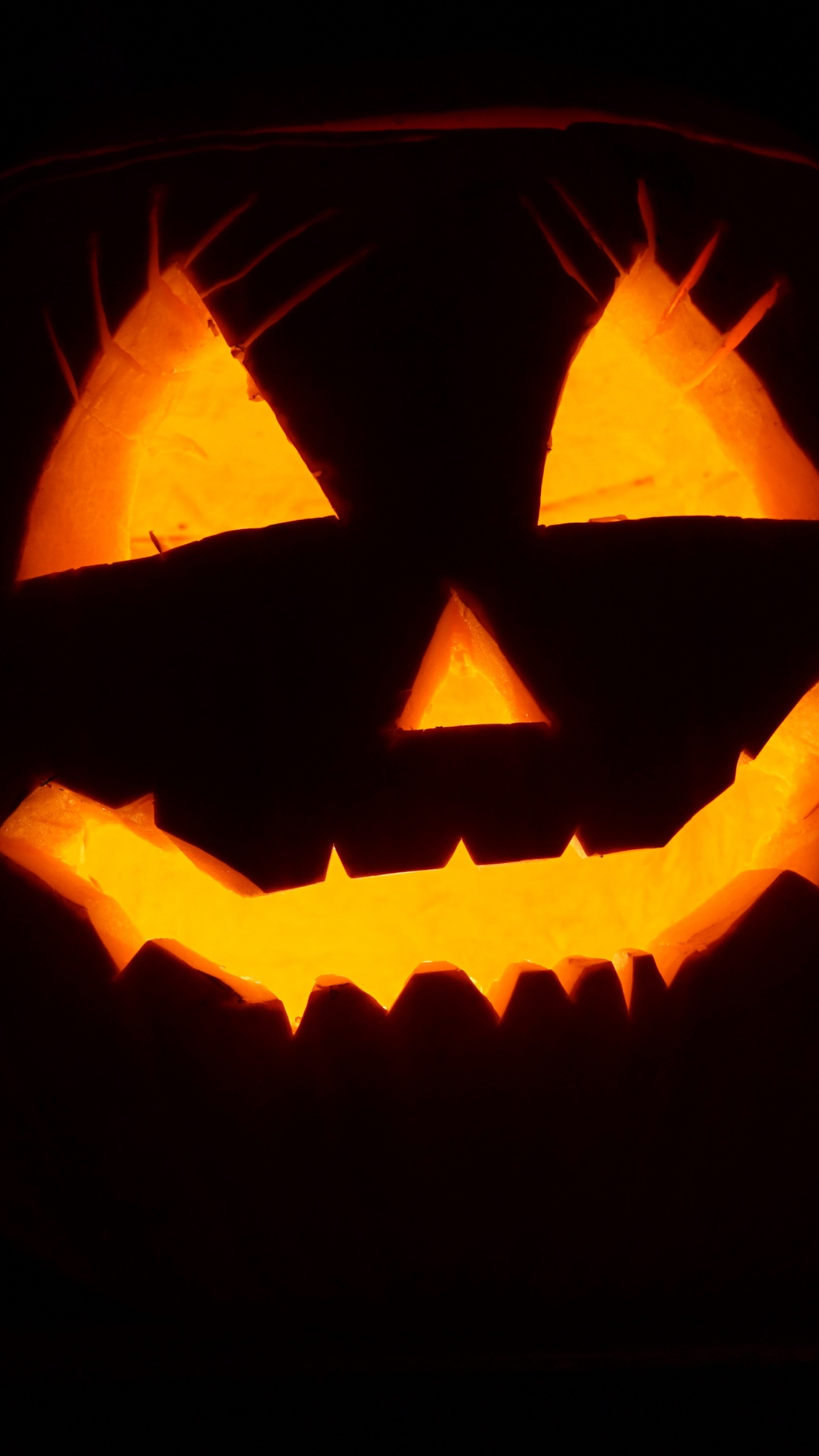 Calabaza, Orange, Bouche, Art, Citrouille. Wallpaper in 1440x2560 Resolution