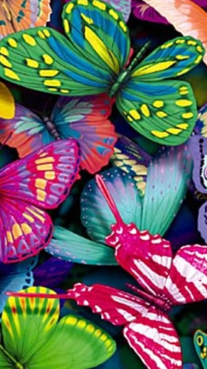 Mariposas Rojas y Negras Sobre Hojas Verdes. Wallpaper in 720x1280 Resolution