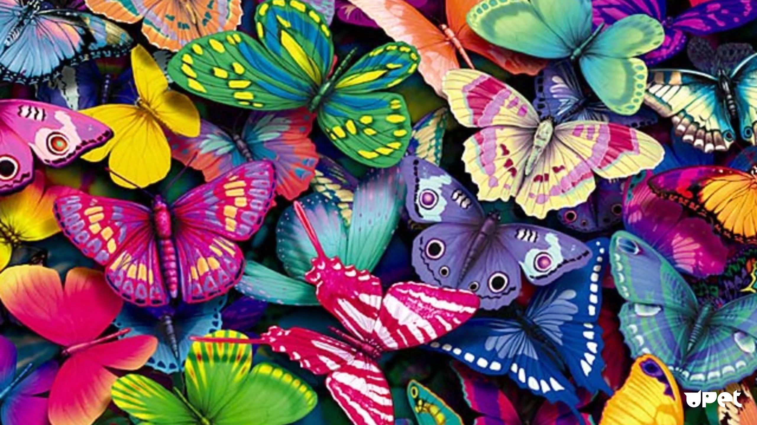 Floral butterflies vector seamless pattern background Stock Vector by  OksanciaArt 17071143