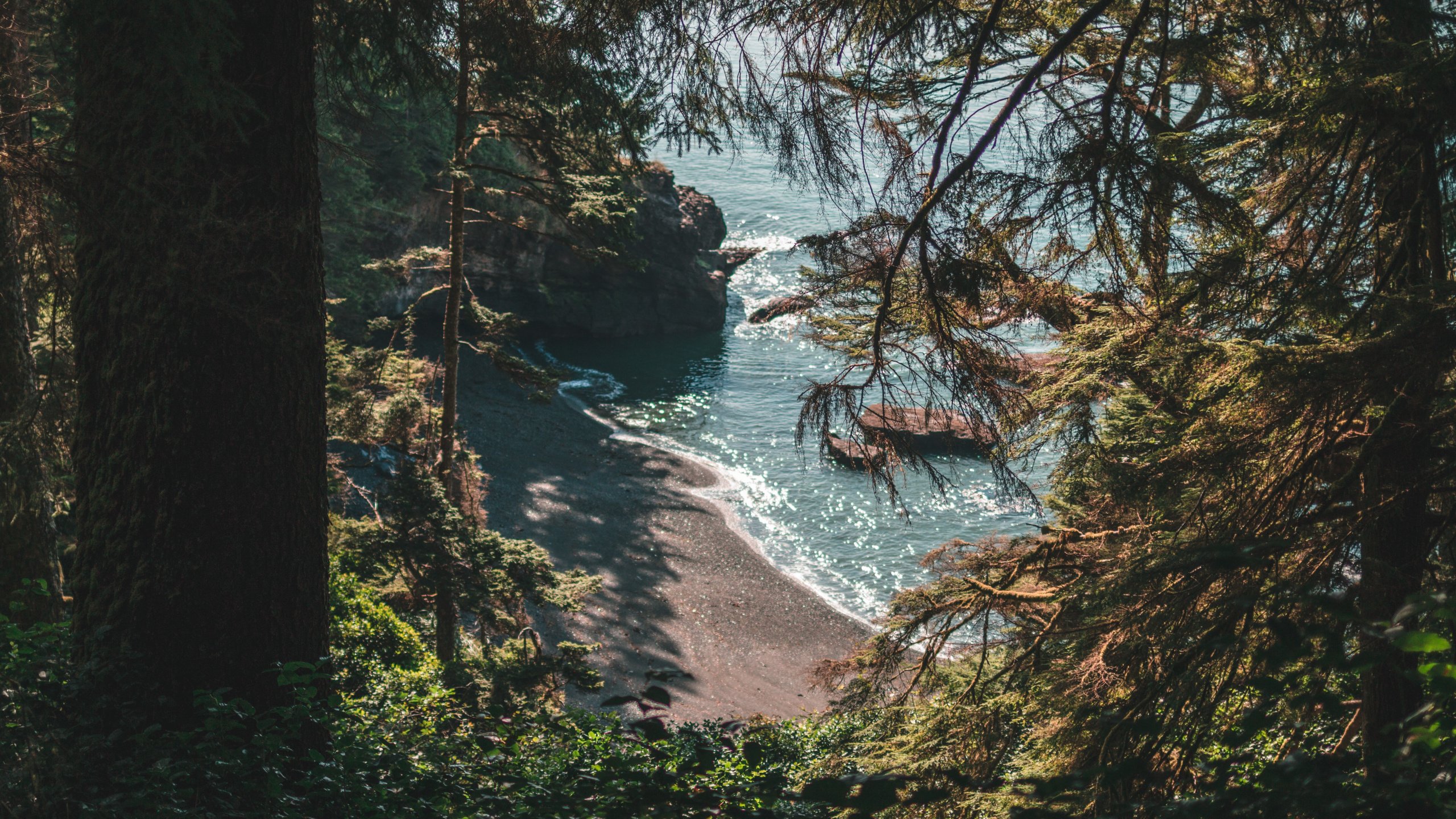 Forêt, Nature, Paysage Naturel, Eau, Environnement Naturel. Wallpaper in 2560x1440 Resolution