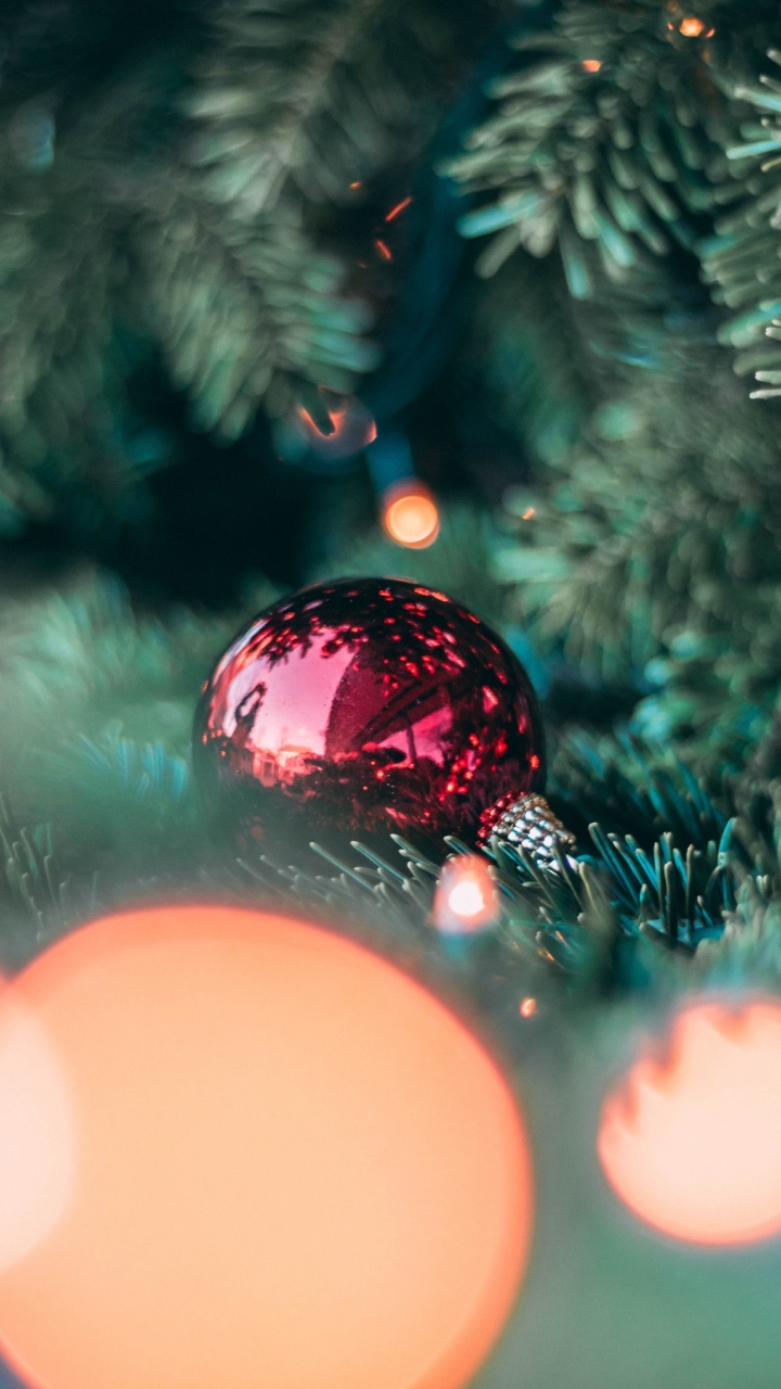 Inspirational Love Christmas Quotes, Christmas, Christmas Ornament, Christmas Tree, Christmas and Holiday Season. Wallpaper in 720x1280 Resolution