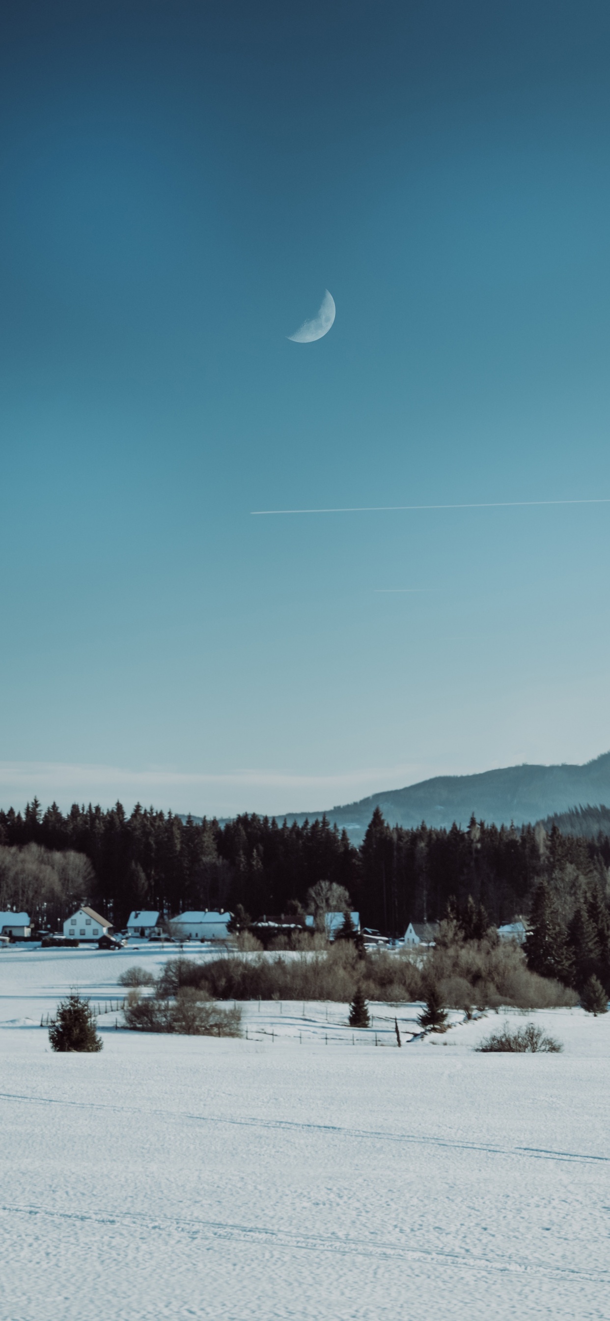 la Pintura de Paisaje, Nieve, Invierno, Congelación, Luna. Wallpaper in 1242x2688 Resolution