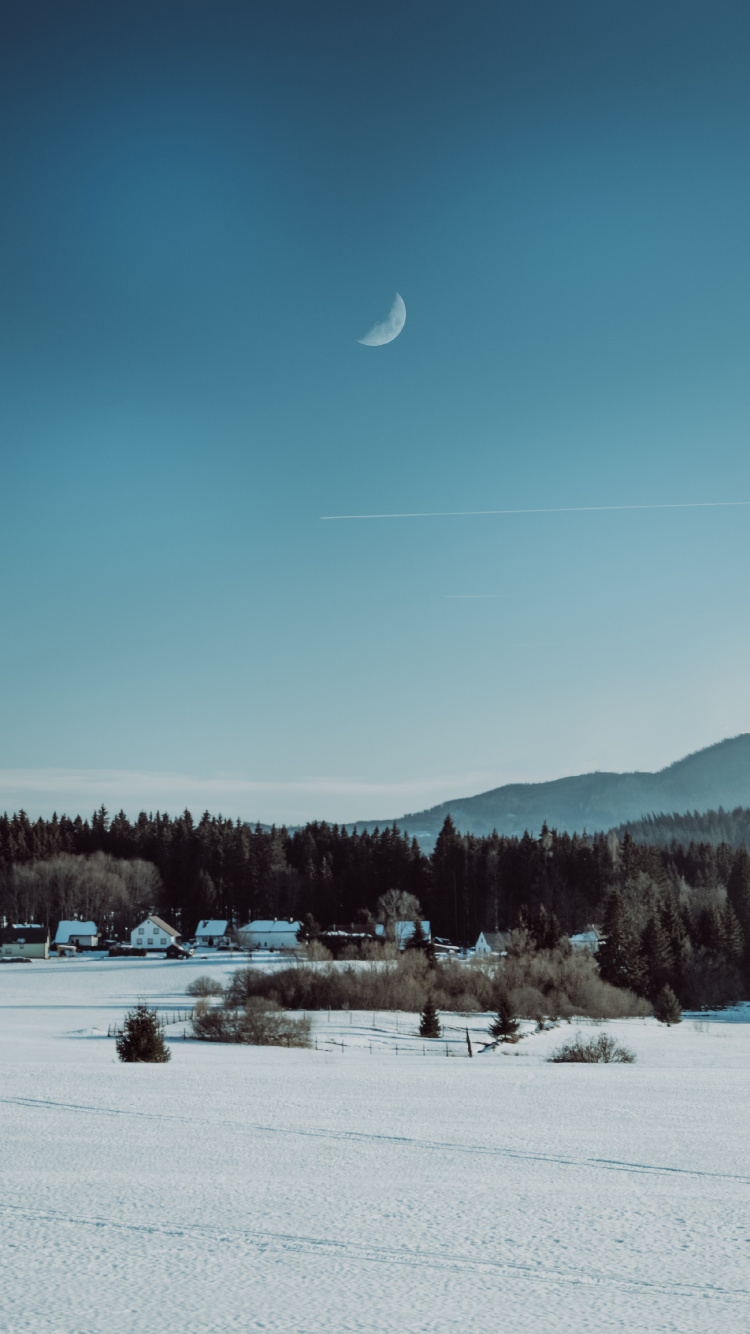 la Pintura de Paisaje, Nieve, Invierno, Congelación, Luna. Wallpaper in 750x1334 Resolution