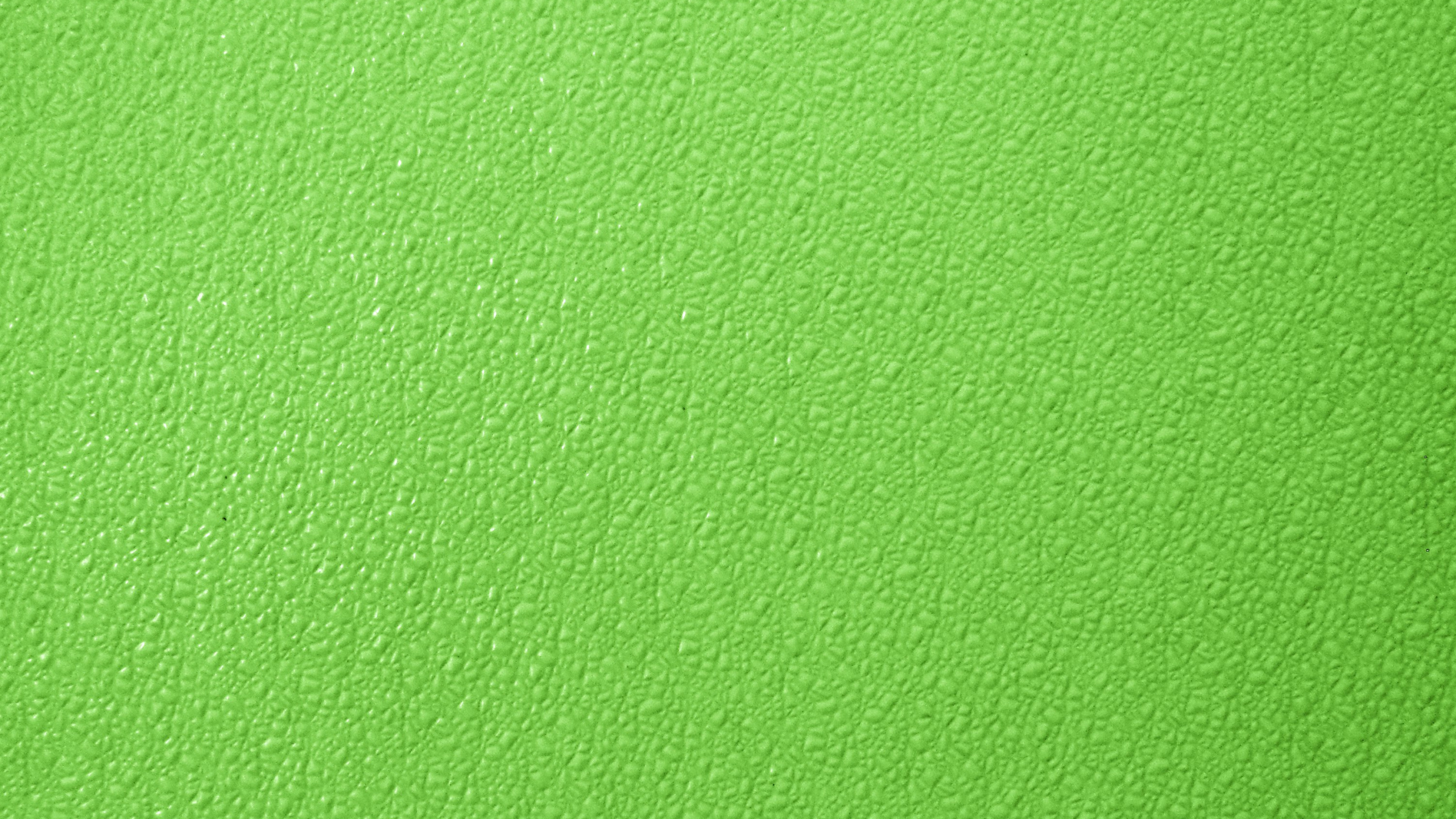 Green Textile in Close up Photography. Wallpaper in 2560x1440 Resolution
