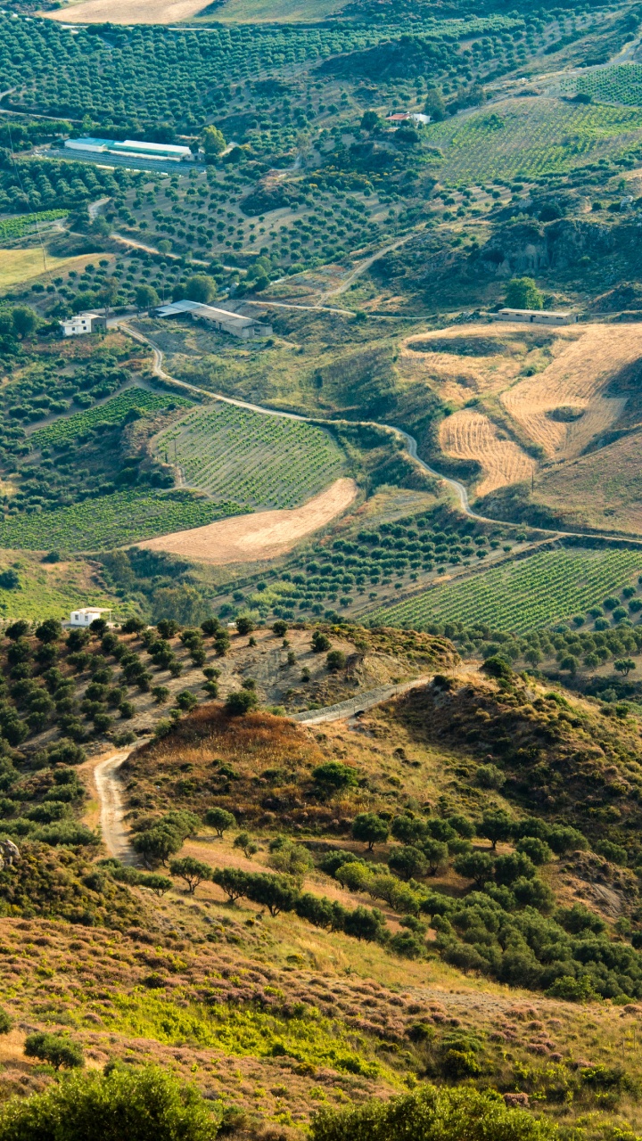 Plant Community, Ecoregion, Plant, Mountain, Natural Landscape. Wallpaper in 720x1280 Resolution