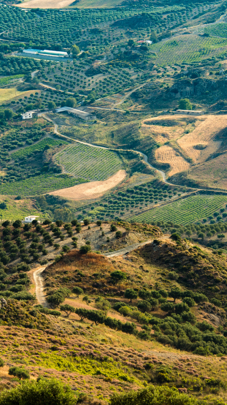 Plant Community, Ecoregion, Plant, Mountain, Natural Landscape. Wallpaper in 750x1334 Resolution