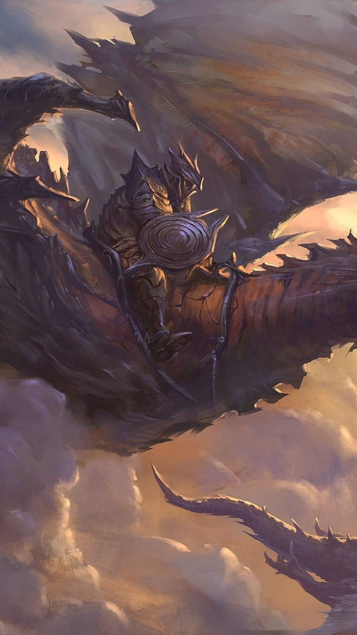 Oiseau Noir et Blanc Survolant Les Nuages. Wallpaper in 720x1280 Resolution