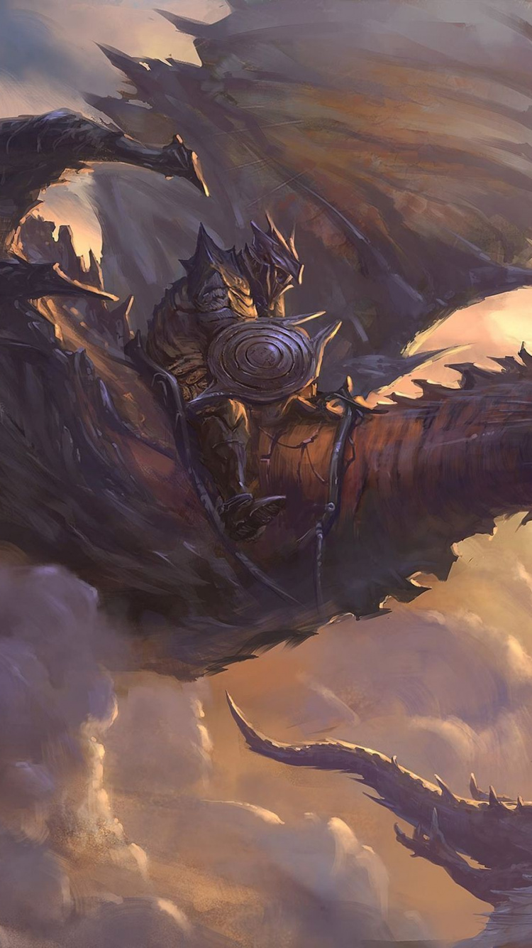 Oiseau Noir et Blanc Survolant Les Nuages. Wallpaper in 750x1334 Resolution