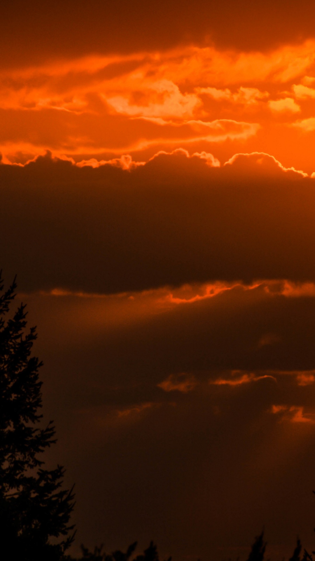 Silhouette, Art, Cloud, Atmosphere, Daytime. Wallpaper in 1080x1920 Resolution