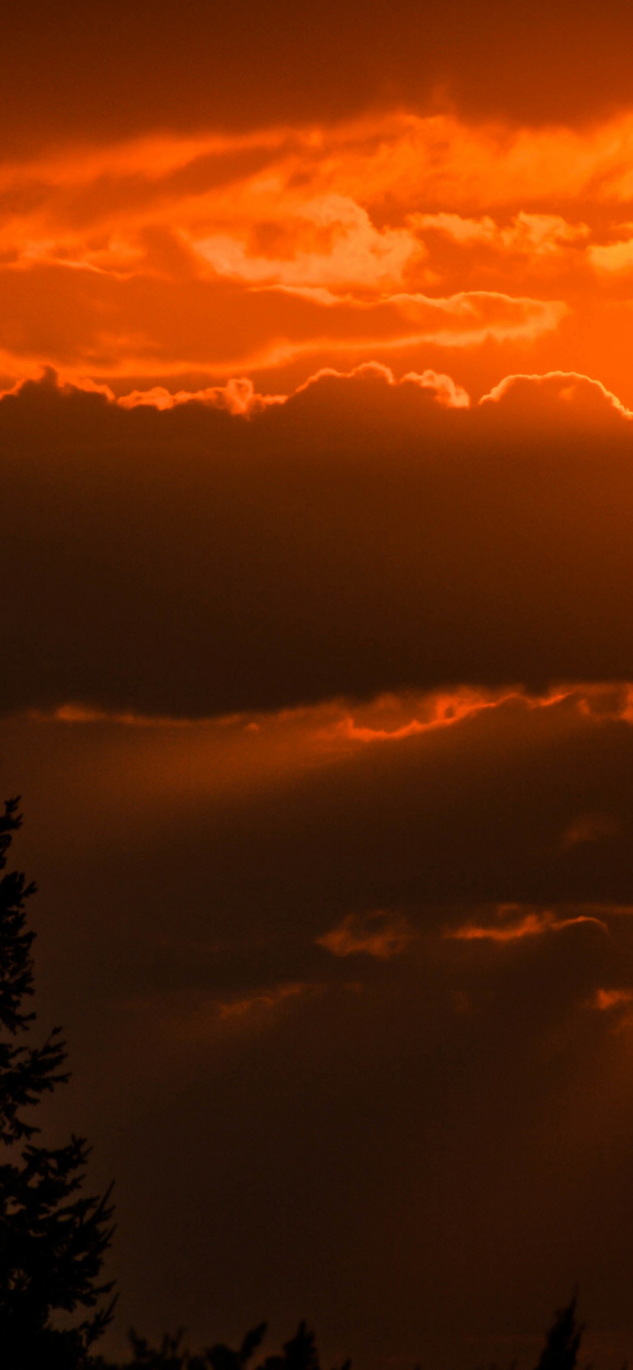 Silhouette, Art, Cloud, Atmosphere, Daytime. Wallpaper in 1242x2688 Resolution