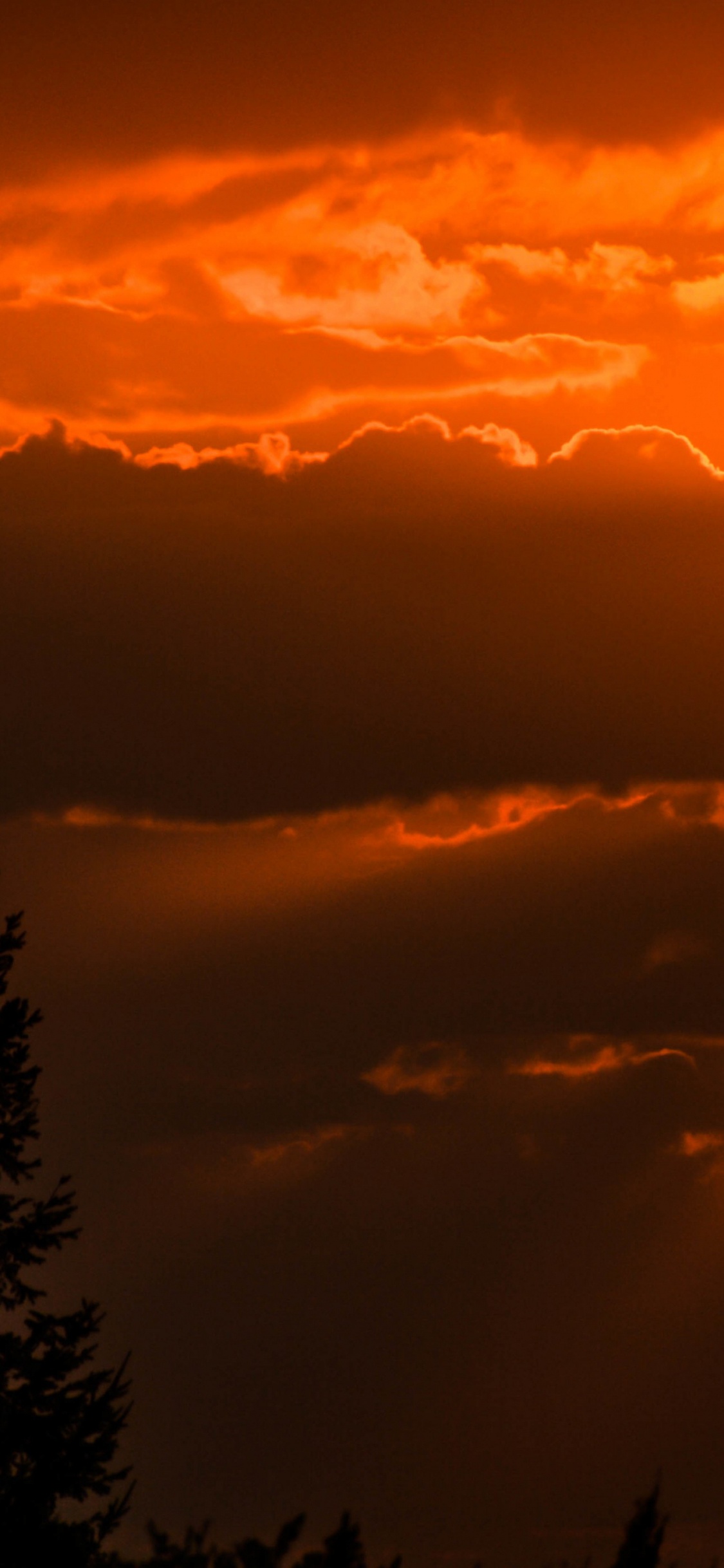 Silhouette, Kunst, Cloud, Atmosphäre, Tageszeit. Wallpaper in 1125x2436 Resolution