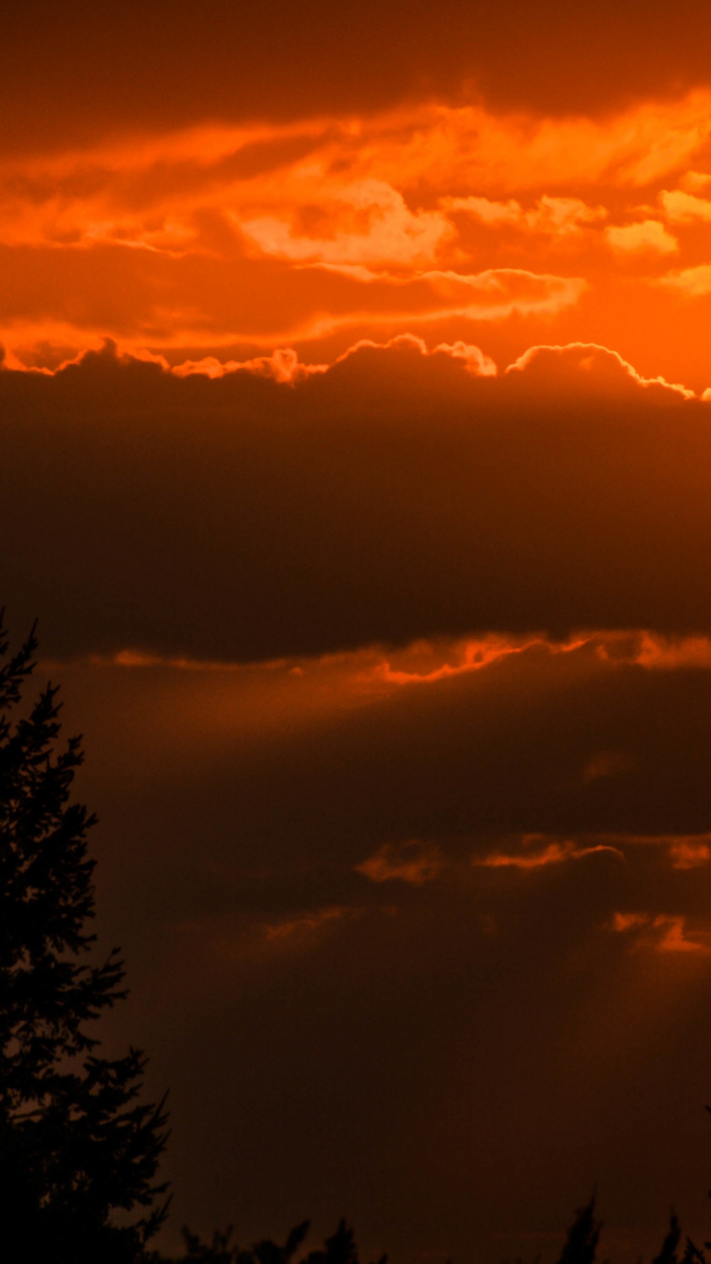 Silhouette, Kunst, Cloud, Atmosphäre, Tageszeit. Wallpaper in 1440x2560 Resolution