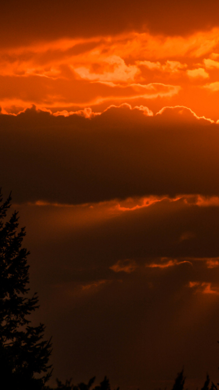 Silhouette, Kunst, Cloud, Atmosphäre, Tageszeit. Wallpaper in 750x1334 Resolution