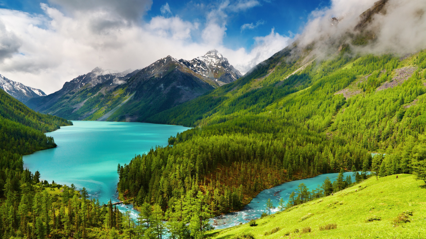 Grüne Bäume Auf Grüner Wiese in Der Nähe Von Gewässern Unter Blauem Himmel Tagsüber During. Wallpaper in 1366x768 Resolution