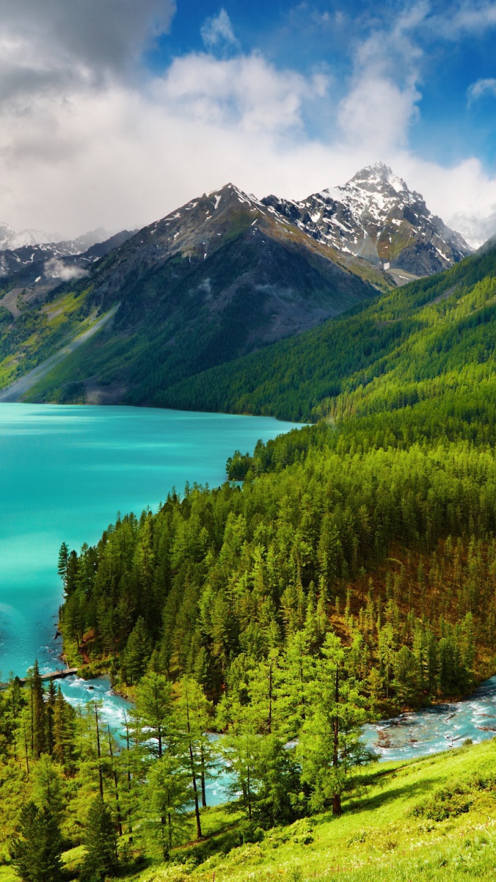 Green Trees on Green Grass Field Near Body of Water Under Blue Sky During Daytime. Wallpaper in 720x1280 Resolution