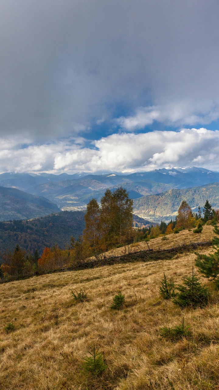 Naturlandschaft, Piste, Baum, Cumulus, Gelände. Wallpaper in 720x1280 Resolution