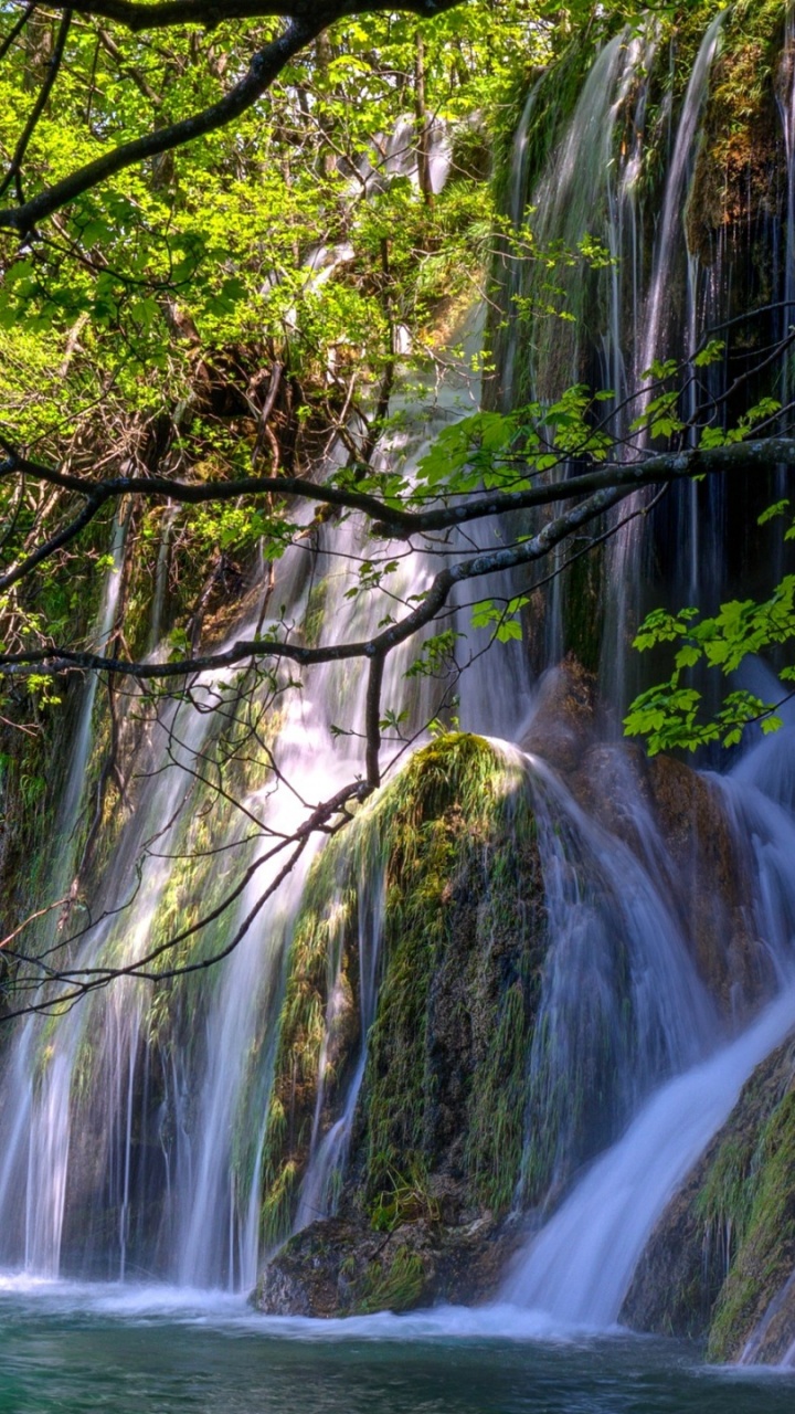 Cascades au Milieu de la Forêt. Wallpaper in 720x1280 Resolution