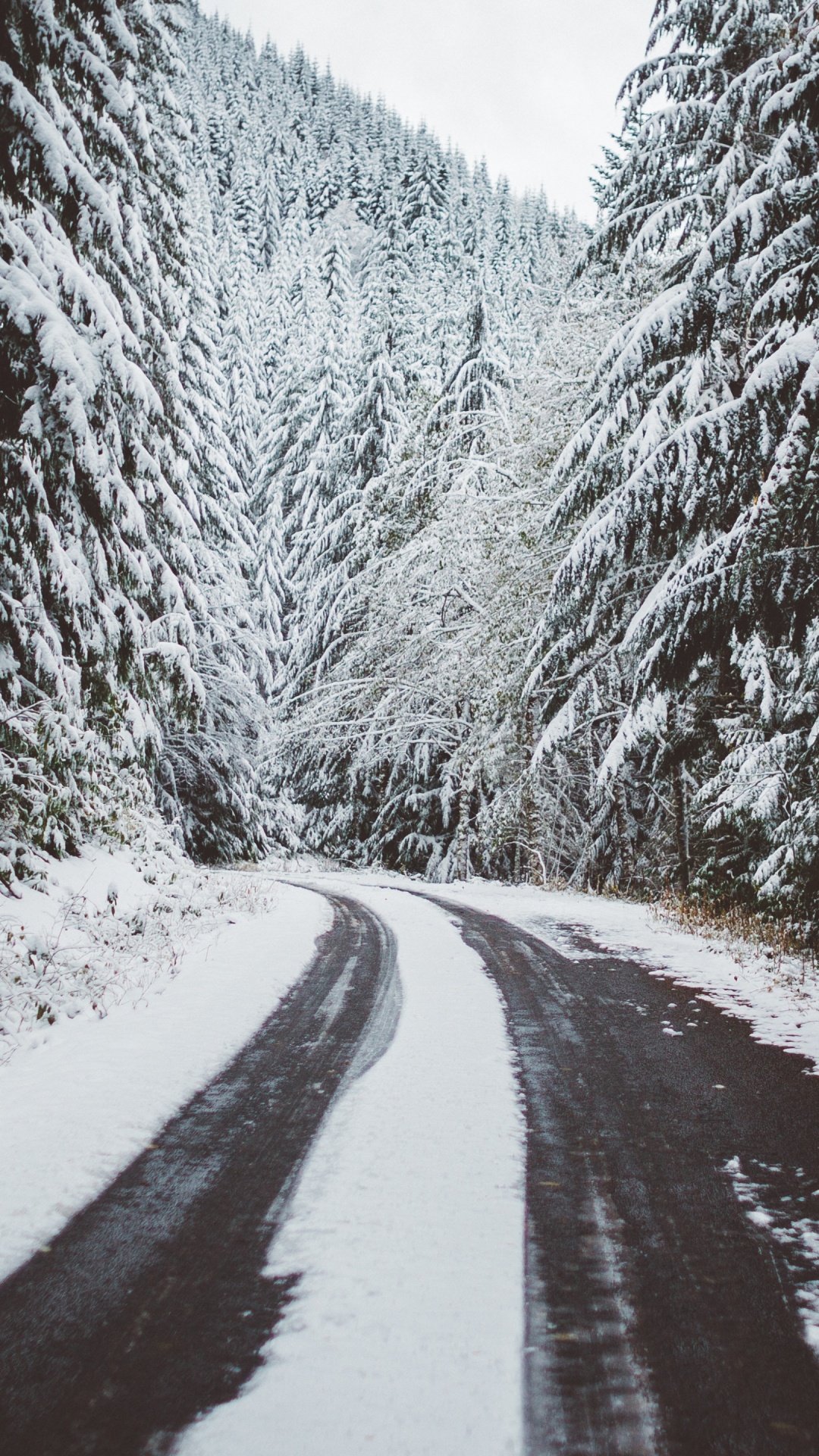 Camino Cubierto de Nieve Entre Árboles. Wallpaper in 1080x1920 Resolution