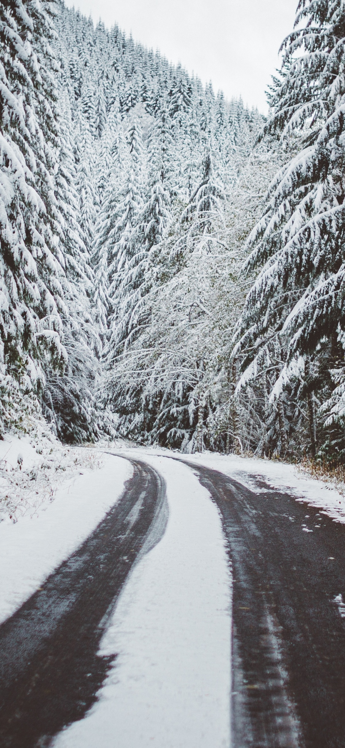 Route Couverte de Neige Entre Les Arbres. Wallpaper in 1125x2436 Resolution