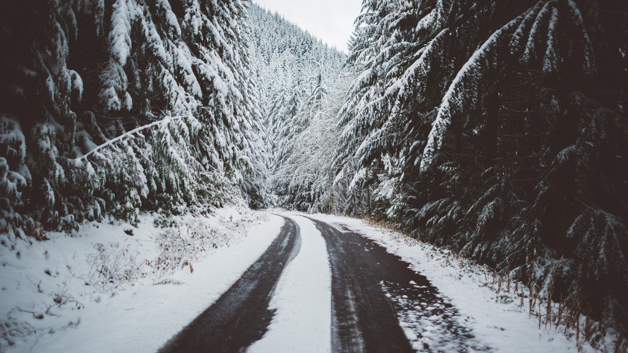 Snow Covered Road Between Trees. Wallpaper in 1280x720 Resolution