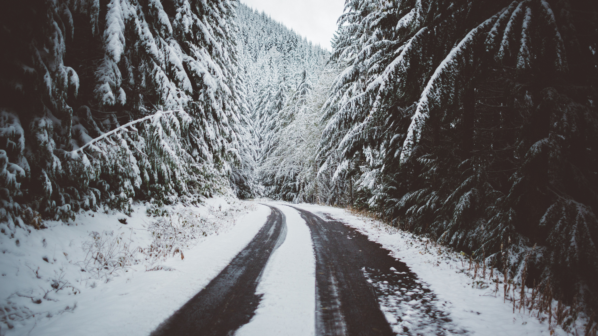 Snow Covered Road Between Trees. Wallpaper in 1920x1080 Resolution