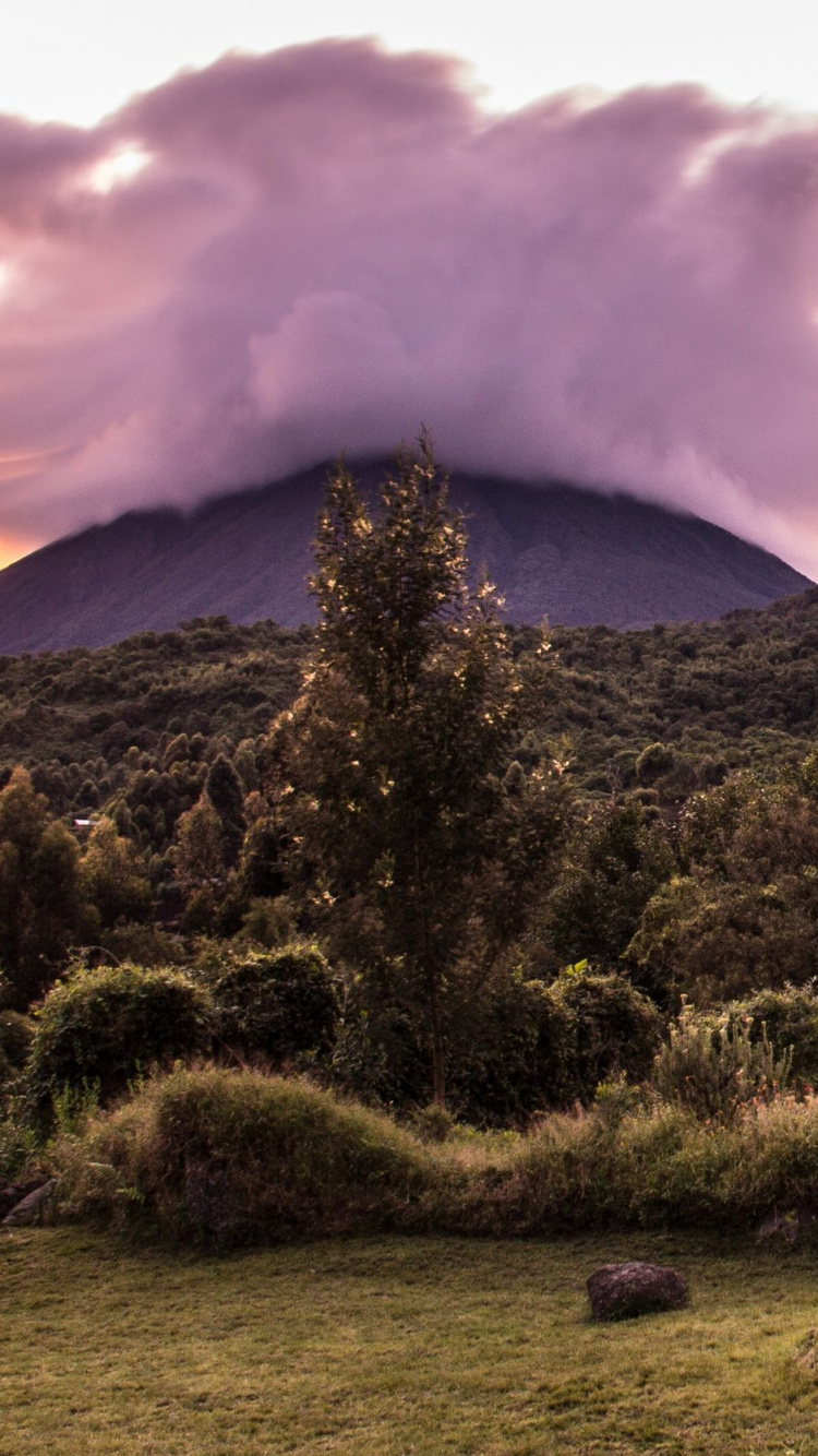 Maison en Bois Marron Sur Terrain D'herbe Verte Près de la Montagne Sous Des Nuages Blancs Pendant la Journée. Wallpaper in 750x1334 Resolution