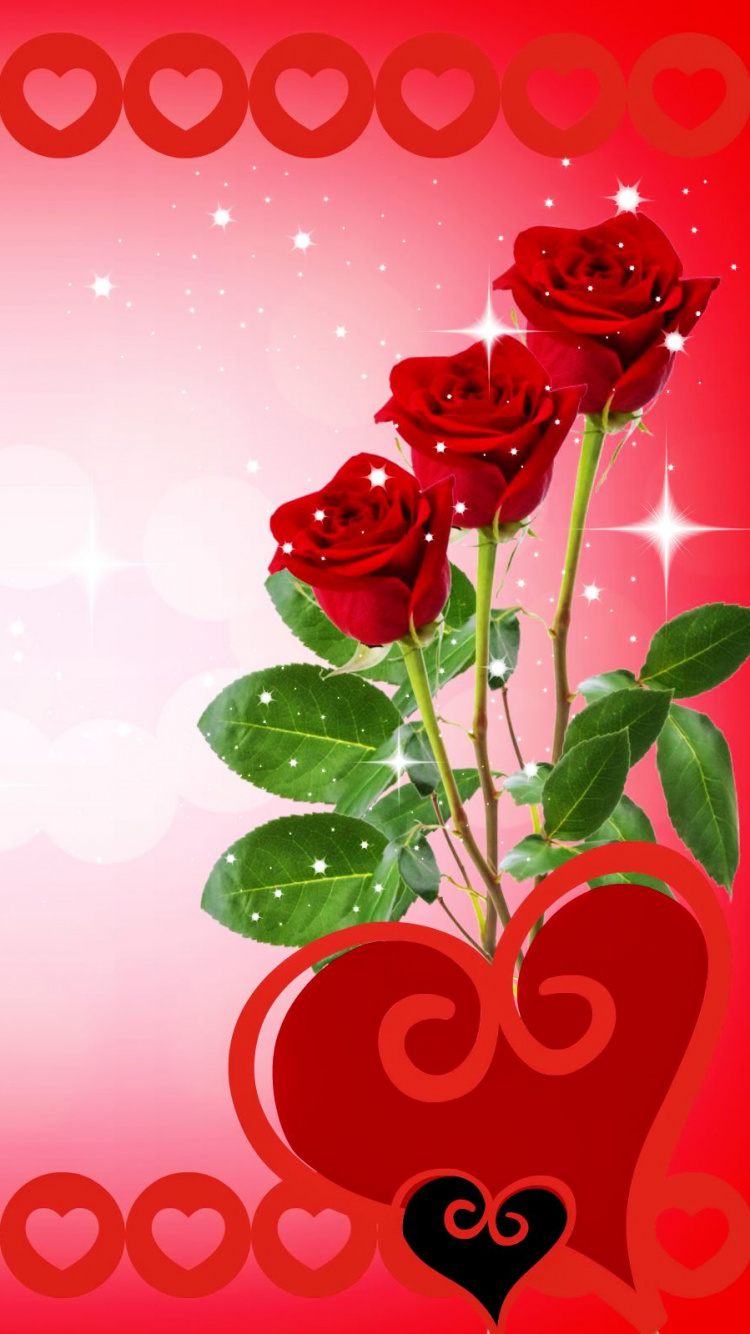 Valentines Tag, Herzen, Liebe, Rose, Garten Rosen. Wallpaper in 750x1334 Resolution