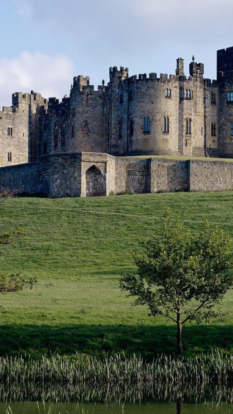 Château de Béton Marron Sur Terrain D'herbe Verte Sous Ciel Bleu Pendant la Journée. Wallpaper in 750x1334 Resolution