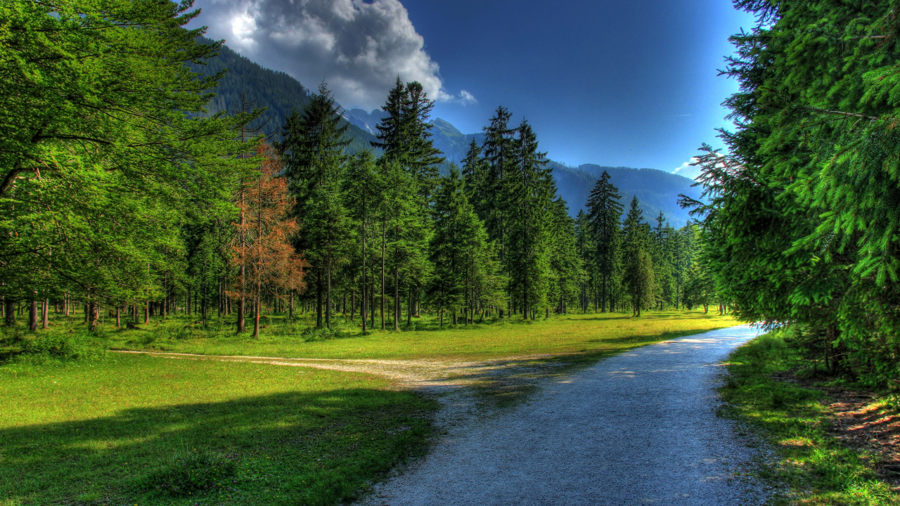 Green Grass Field With Trees Under Blue Sky and White Clouds During Daytime. Wallpaper in 1280x720 Resolution