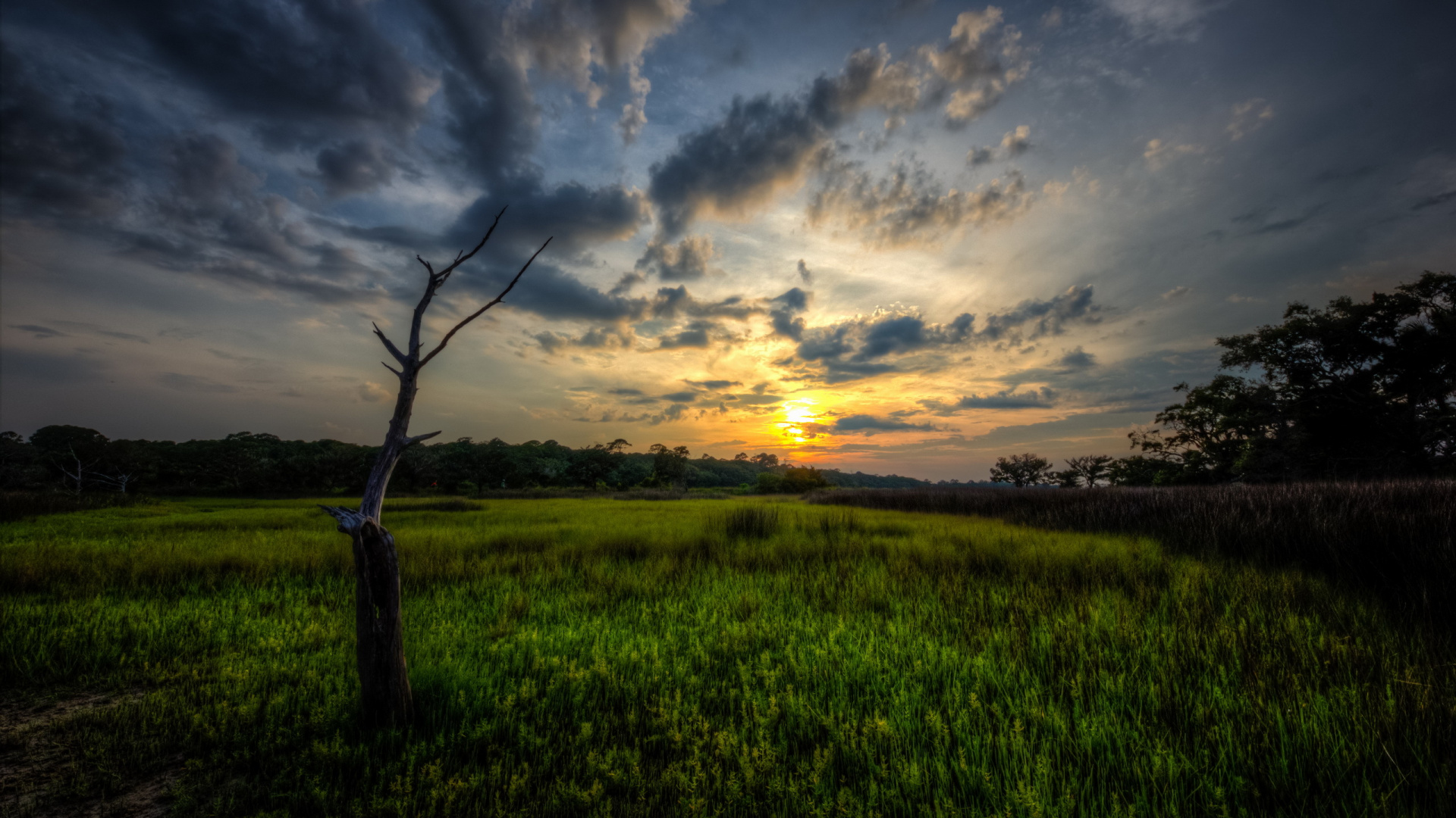 Green Grass Field Under Cloudy Sky During Daytime. Wallpaper in 1920x1080 Resolution