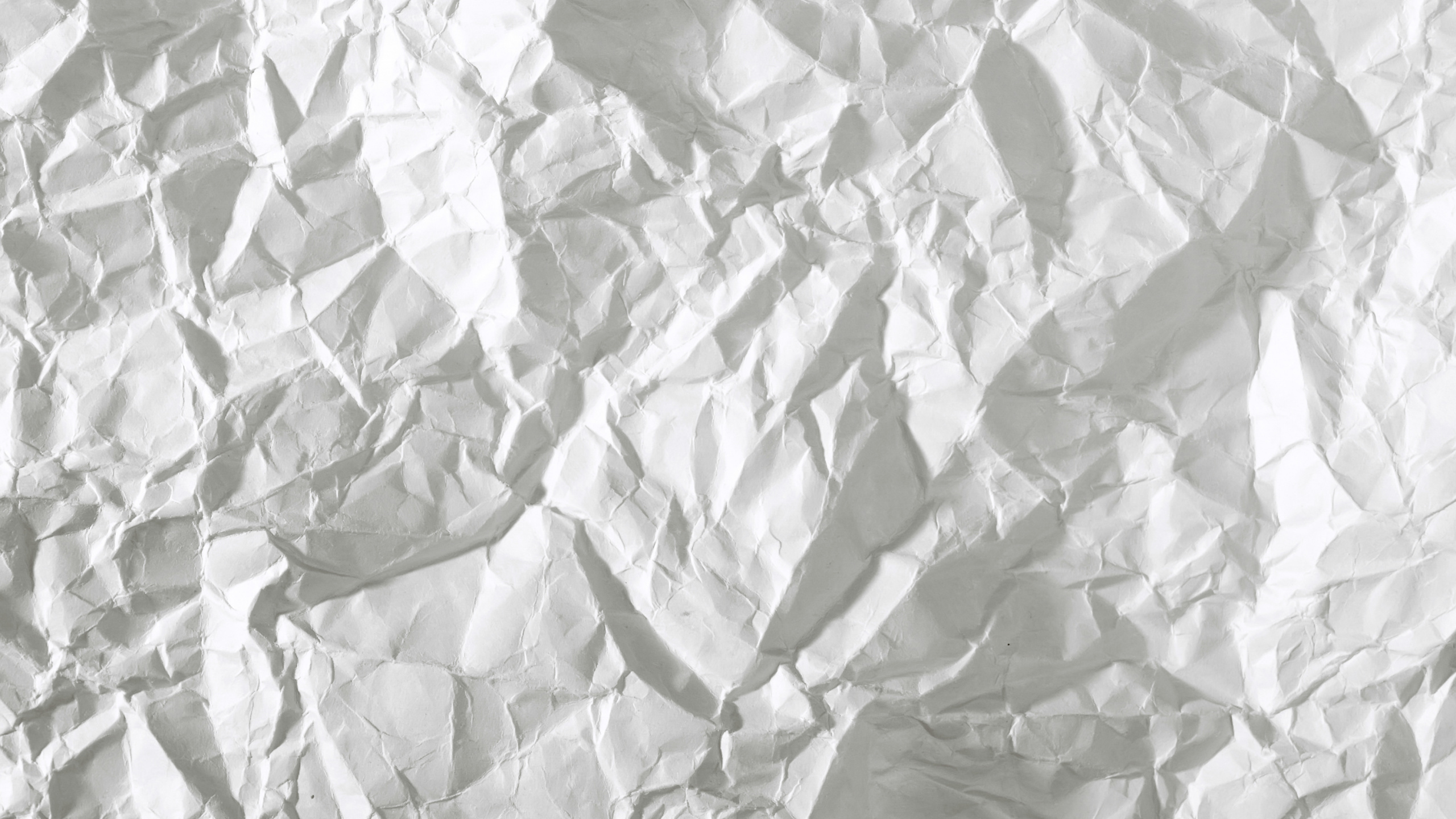 Textile Floral Blanc et Vert. Wallpaper in 2560x1440 Resolution