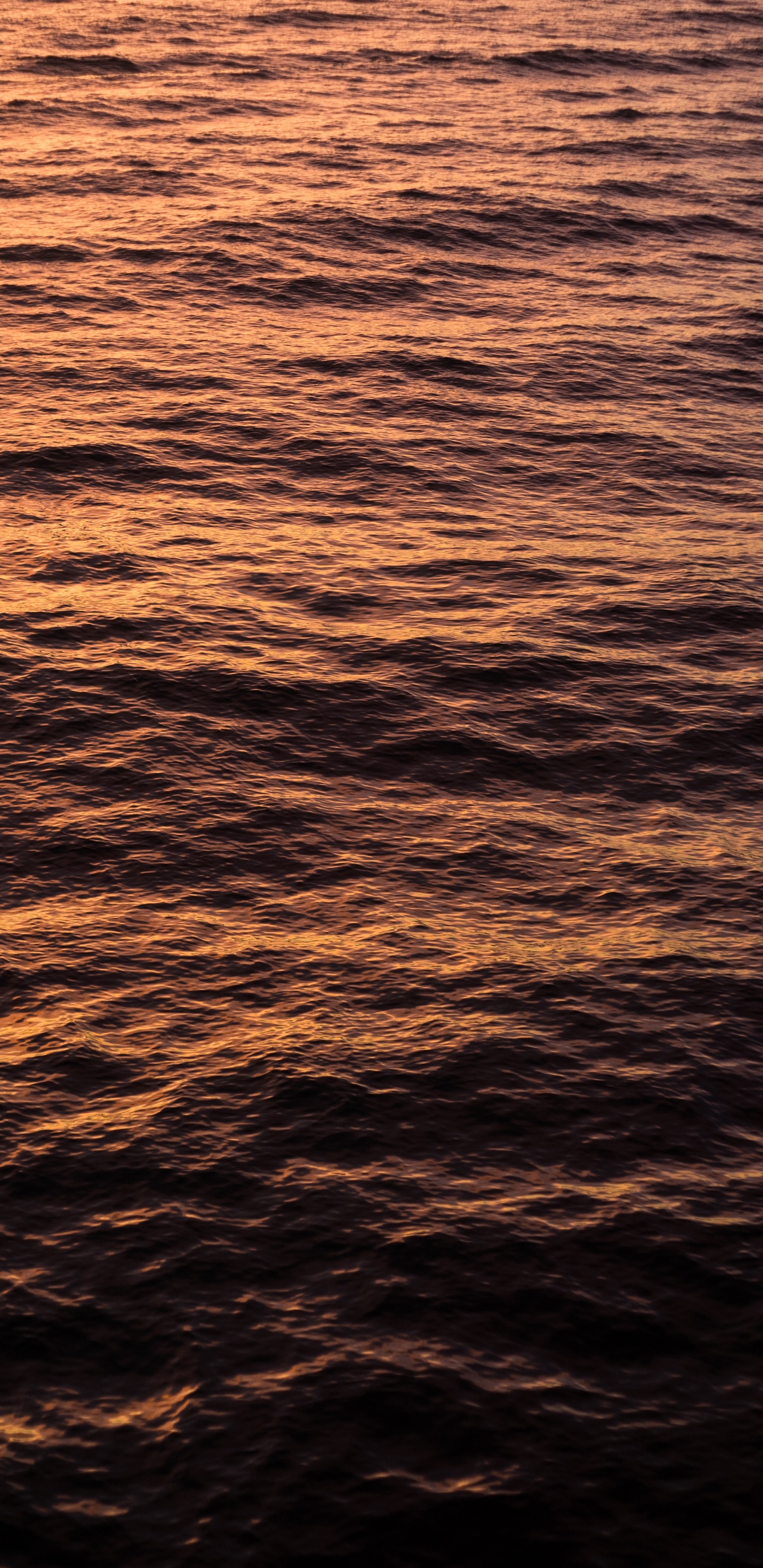 Eau, Horizon, Mer, Orange, Calme. Wallpaper in 1440x2960 Resolution
