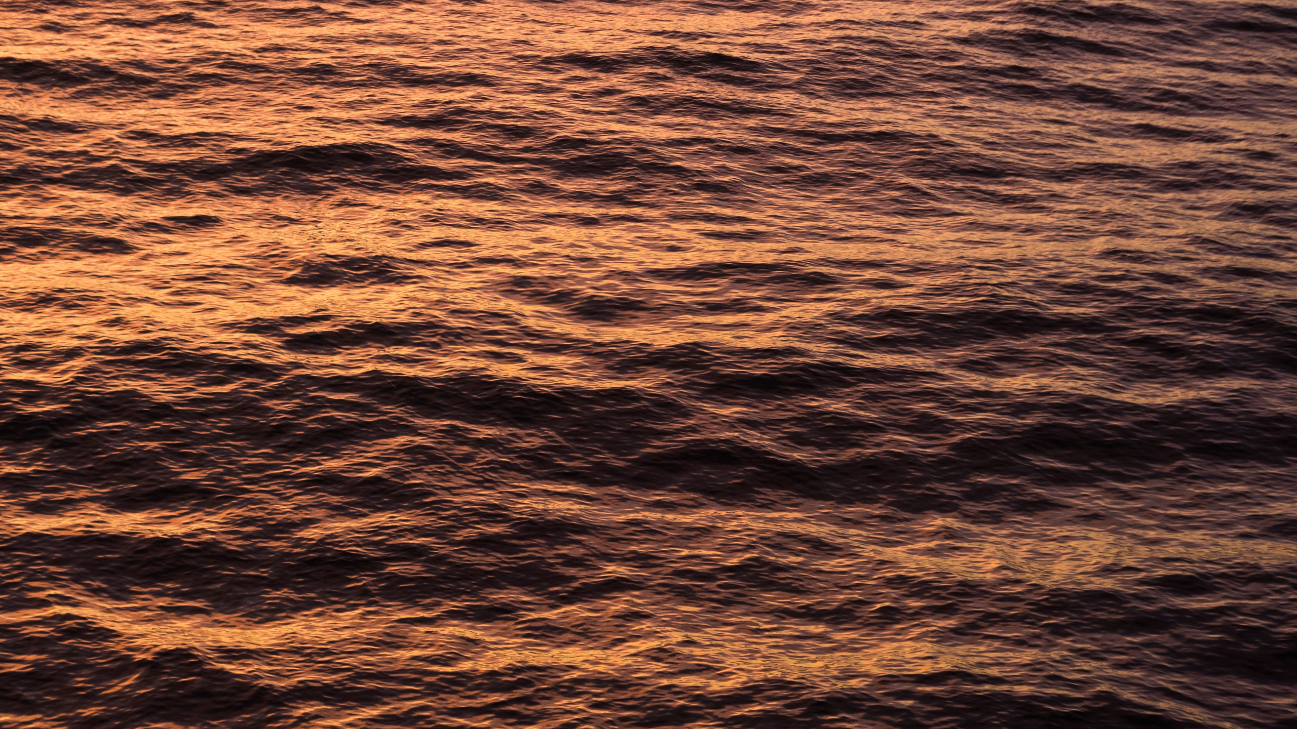 Eau, Horizon, Mer, Orange, Calme. Wallpaper in 2560x1440 Resolution