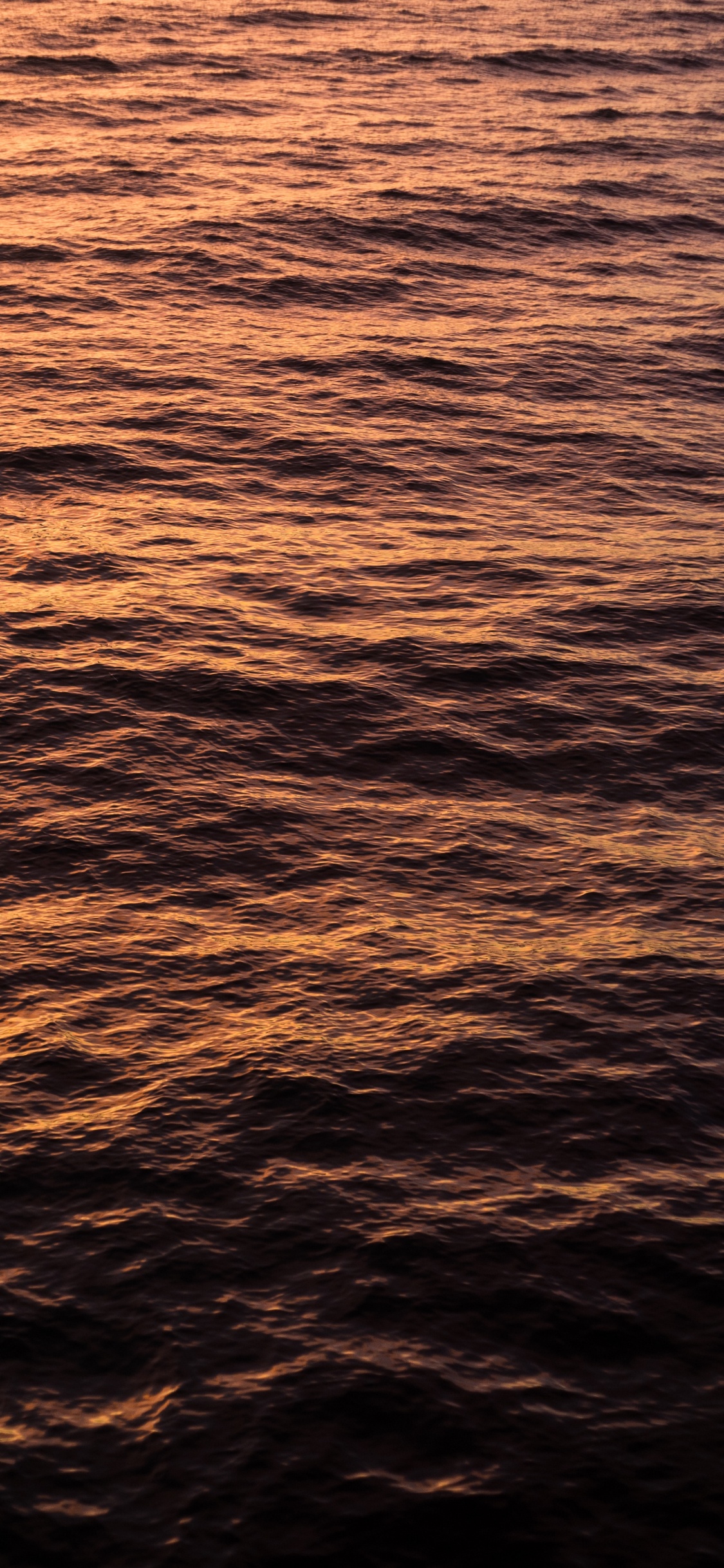 Wasser, Horizont, Meer, Orange, Ruhe. Wallpaper in 1125x2436 Resolution
