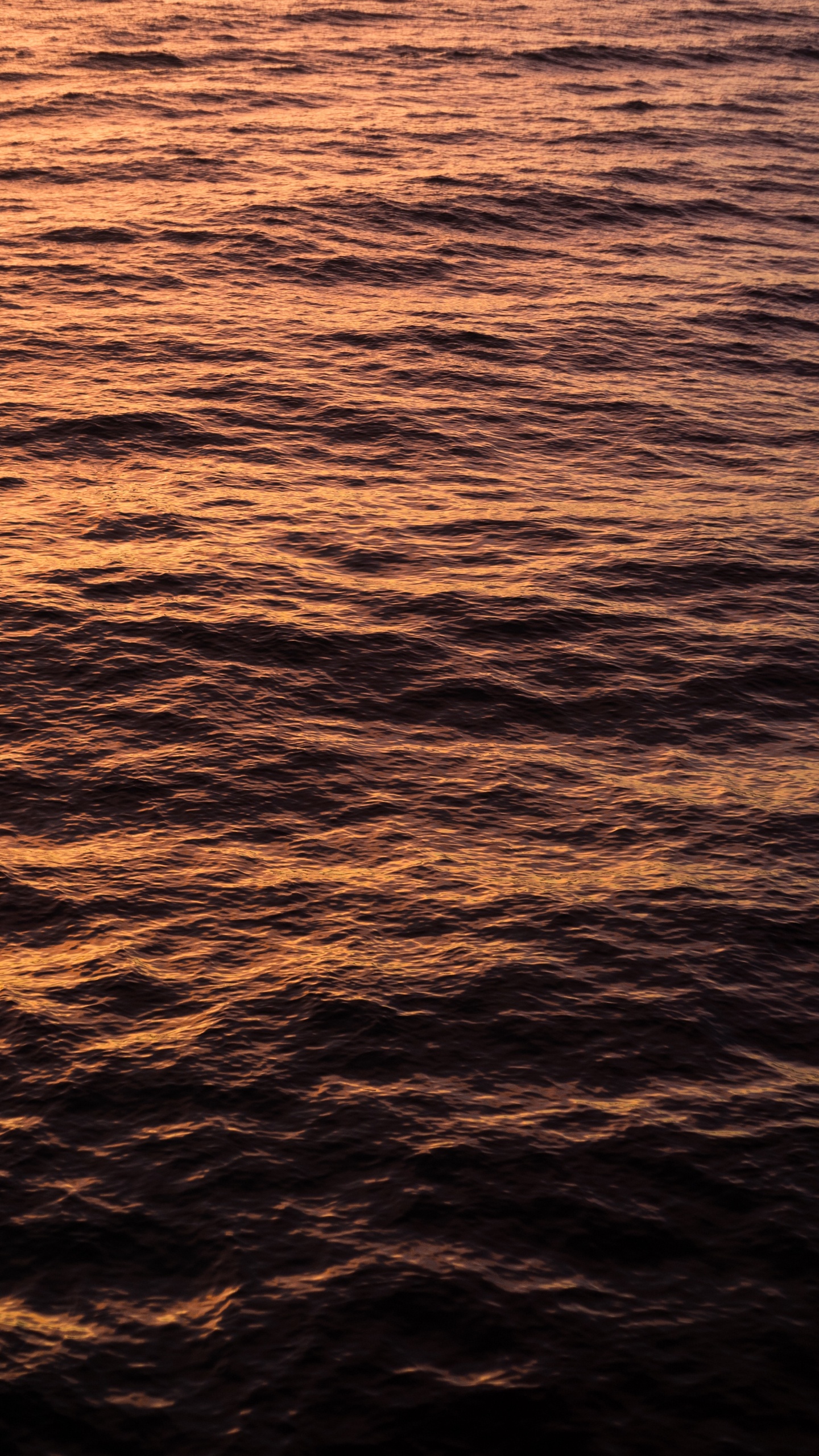 Wasser, Horizont, Meer, Orange, Ruhe. Wallpaper in 1440x2560 Resolution