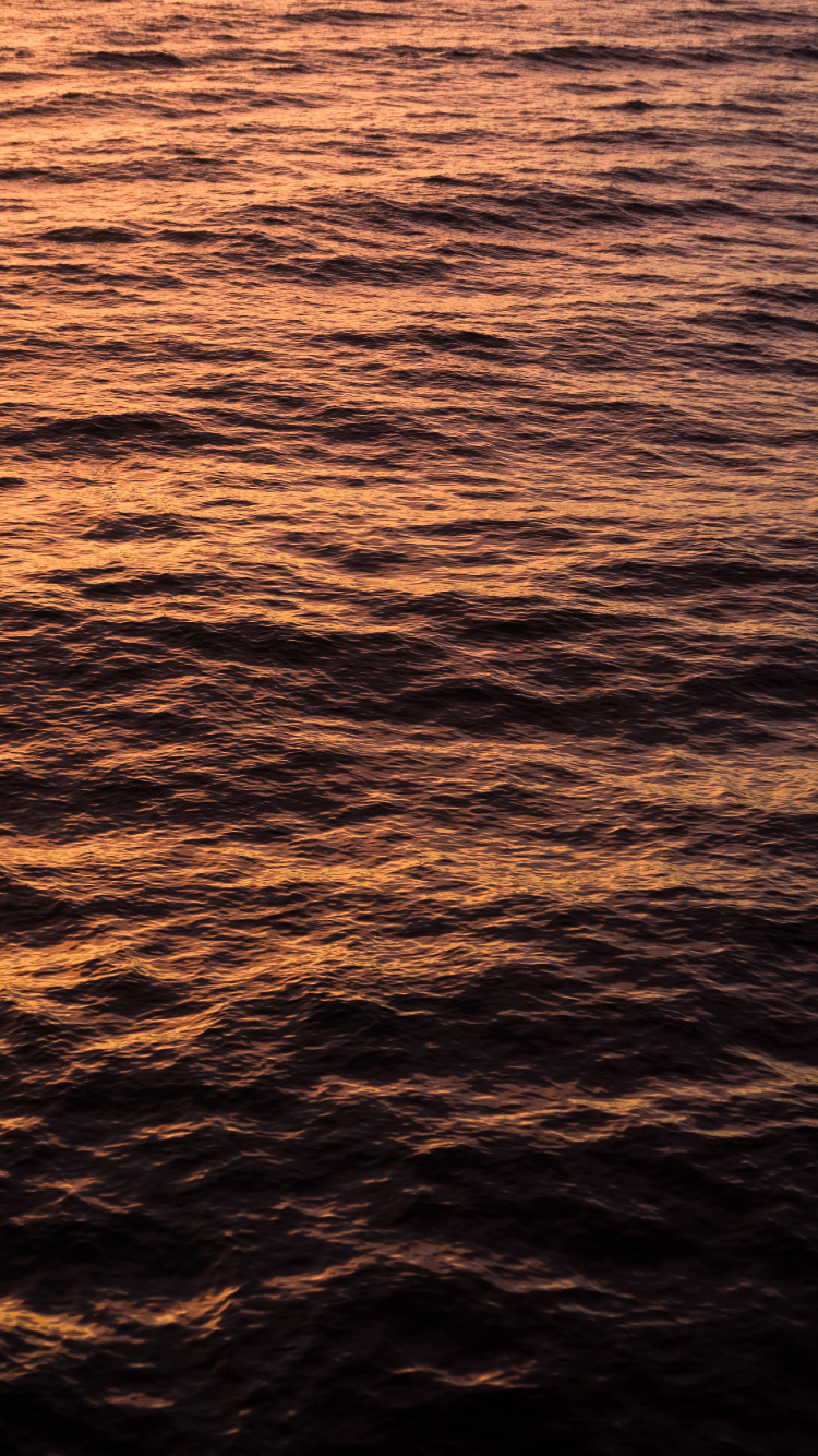 Wasser, Horizont, Meer, Orange, Ruhe. Wallpaper in 750x1334 Resolution