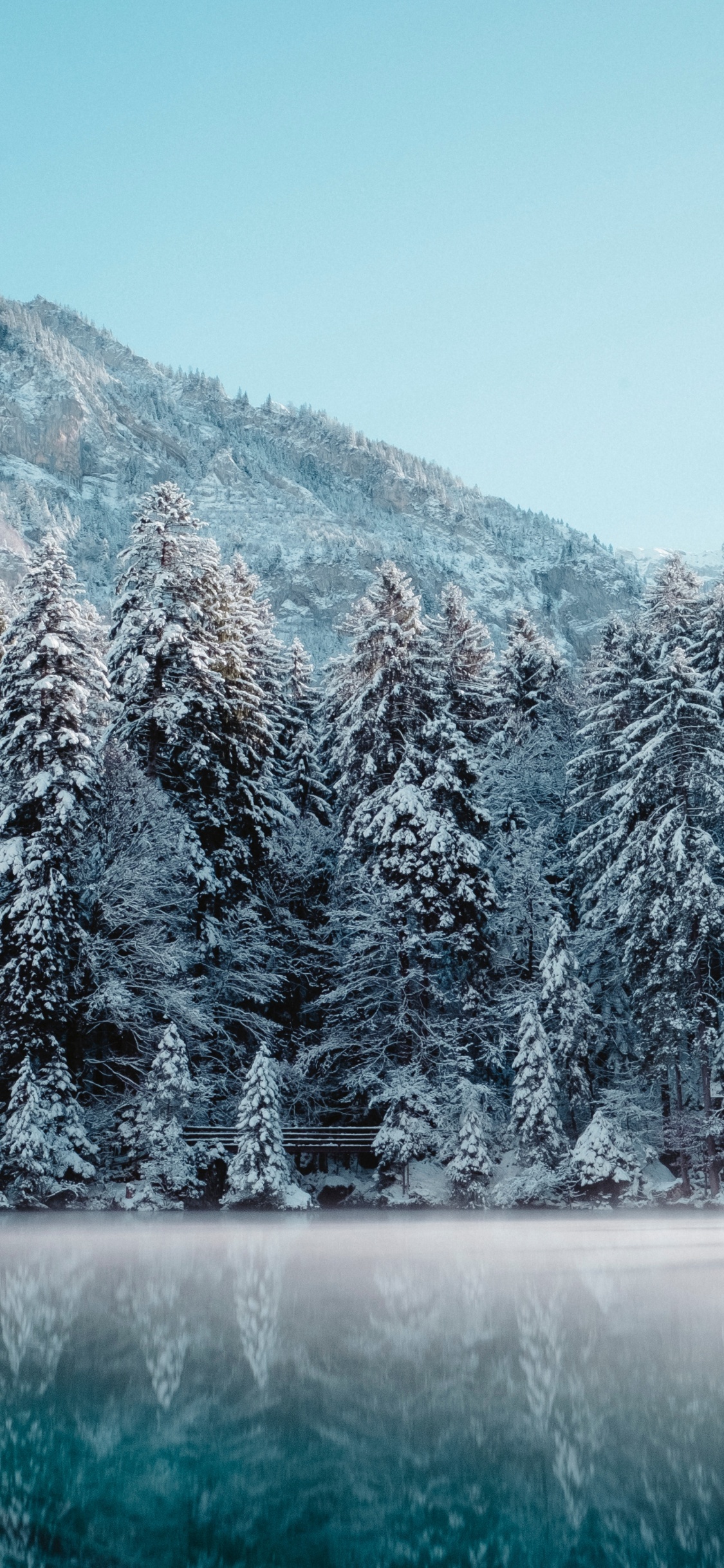 Suiza Invierno, Invierno, Nieve, Deportes de Invierno, Paisaje Natural. Wallpaper in 1125x2436 Resolution