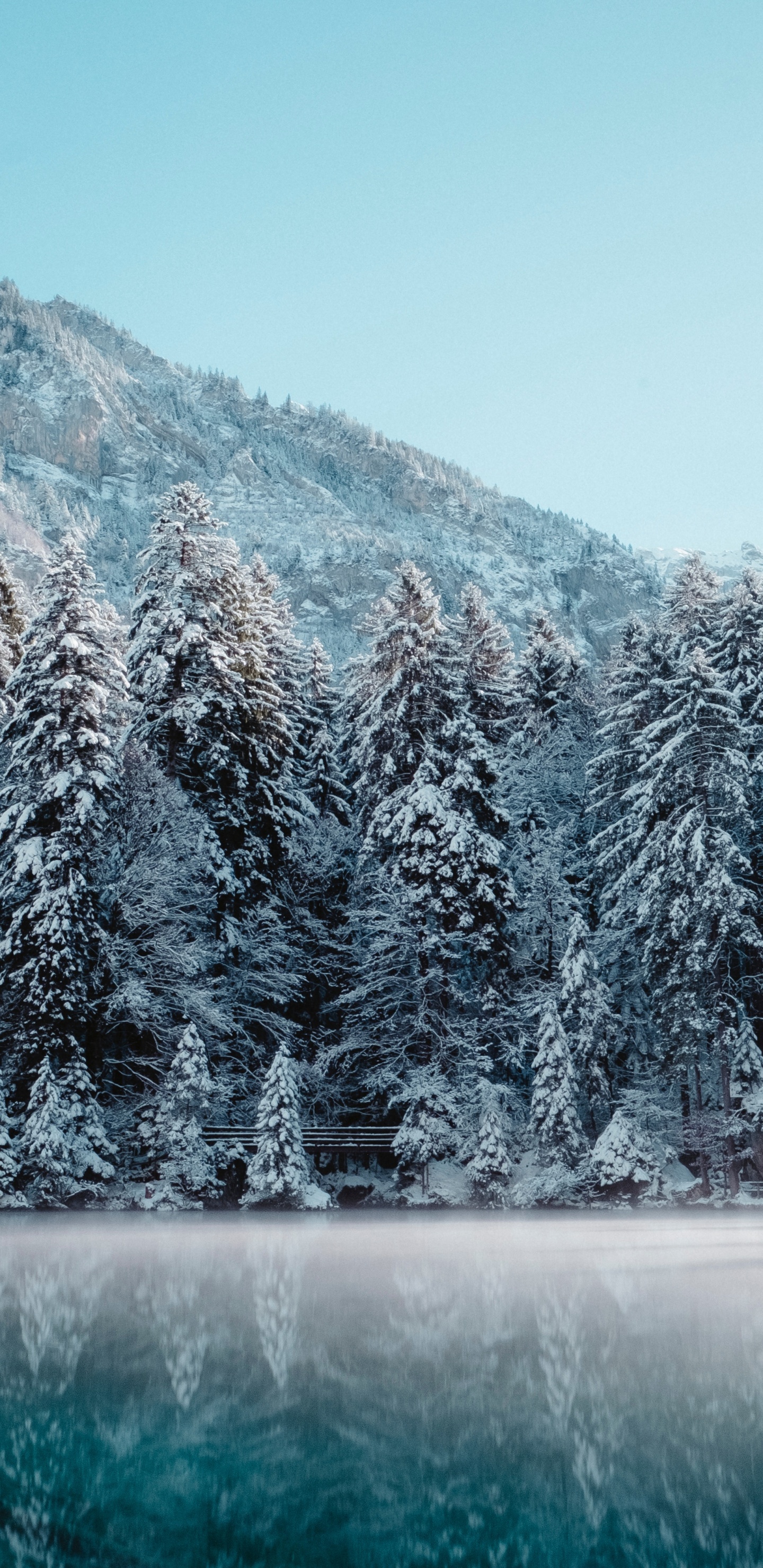 Suisse Hiver, Hiver, Neige, Sports D'hiver, Paysage Naturel. Wallpaper in 1440x2960 Resolution