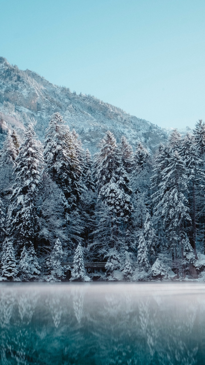 Switzerland Winter, Winter, Snow, Winter Sports, Natural Landscape. Wallpaper in 720x1280 Resolution