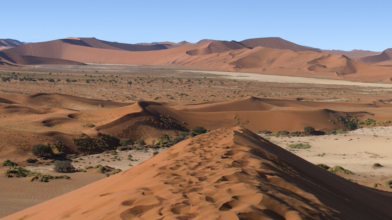 Brown Sand Field During Daytime. Wallpaper in 1366x768 Resolution
