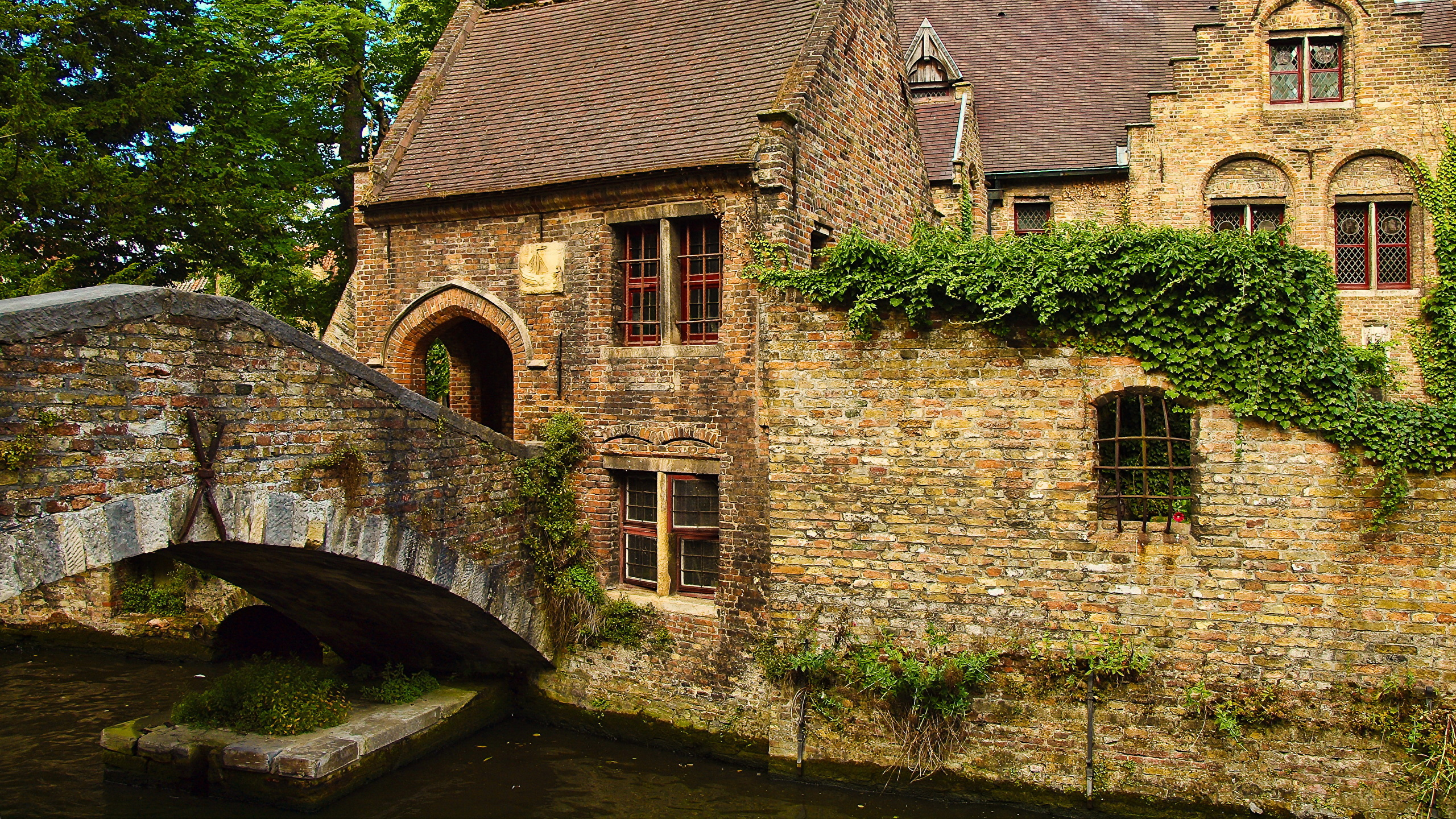 Brown Brick Building Near Green Trees During Daytime. Wallpaper in 2560x1440 Resolution