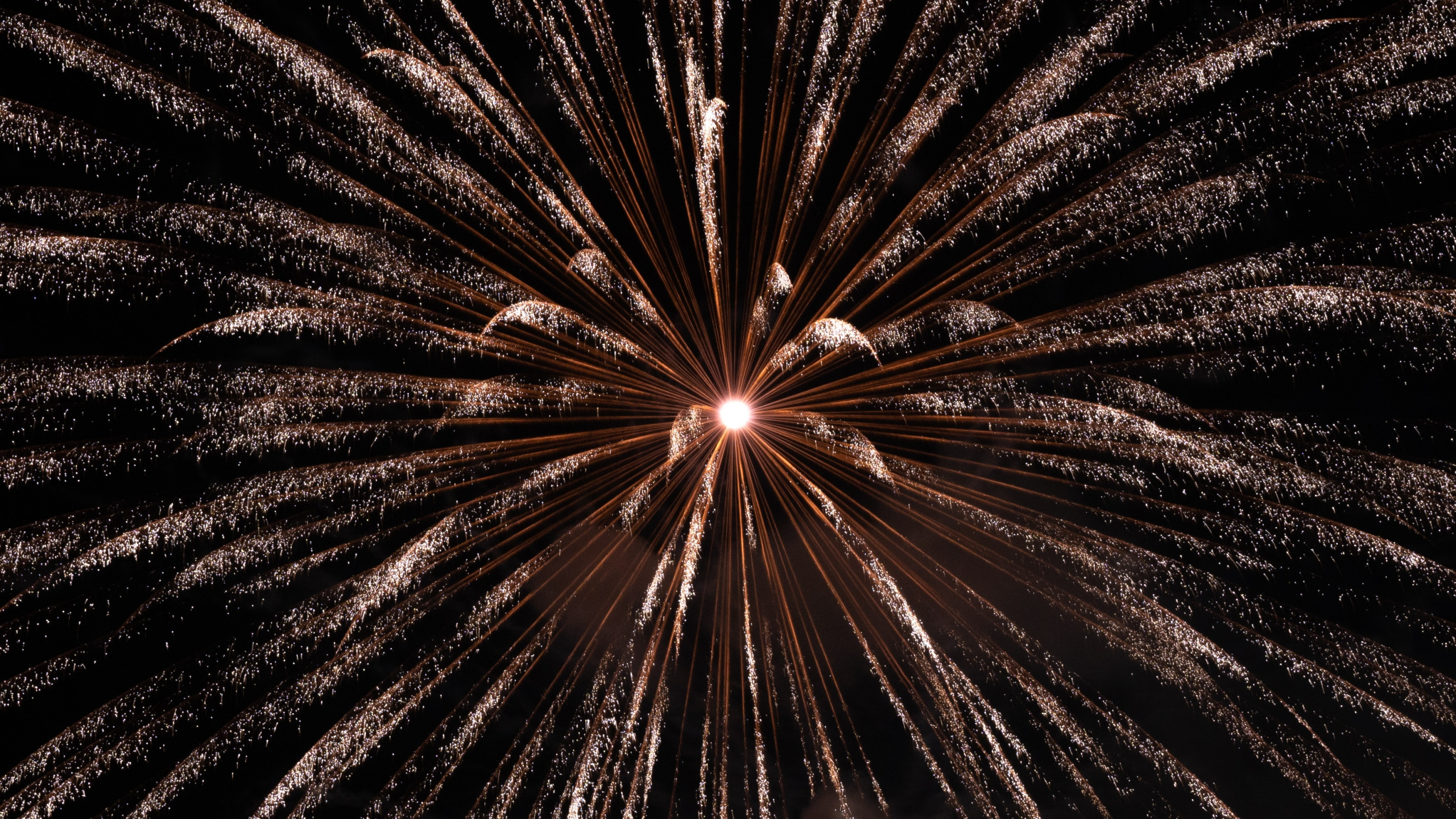 Schwarz, Feuerwerk, Licht, Nacht, Wasser. Wallpaper in 2560x1440 Resolution