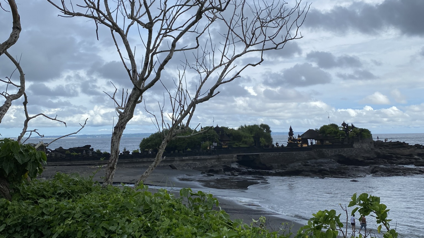 Indonésie, Bali, Feuille, Sciences, Banque. Wallpaper in 1366x768 Resolution