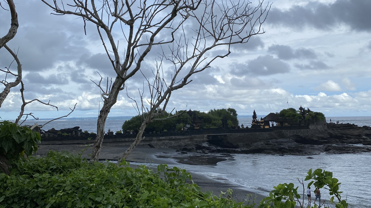 Indonesien, Bali, Blatt, Wissenschaft, Branch. Wallpaper in 1280x720 Resolution